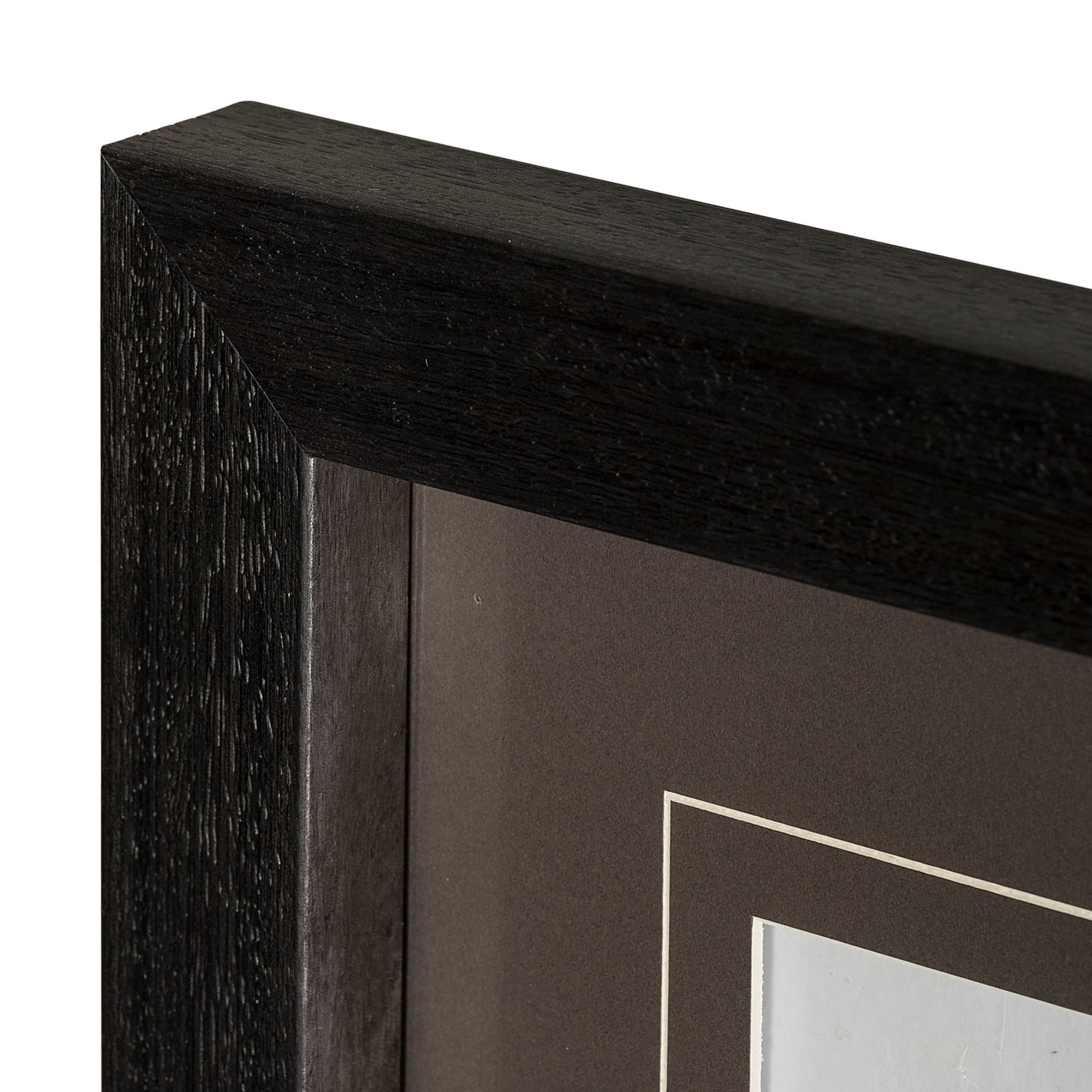 Boabab Tree I by Tiedge a Framed Art Print Matted under Glass — product photograph