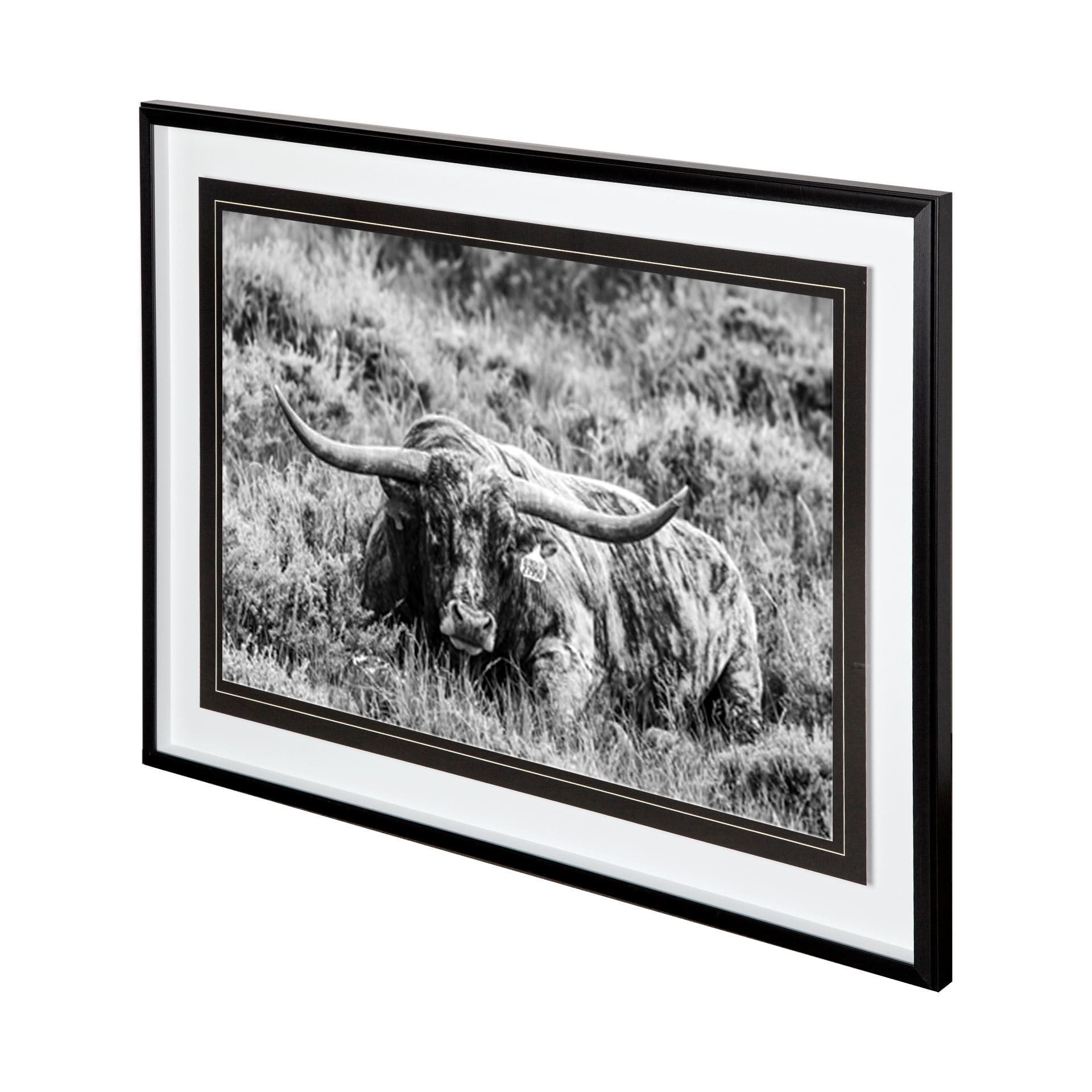 B&W Longhorn III by Tyler Stockton a Framed Photo Art Print Matted under Glass — product photograph