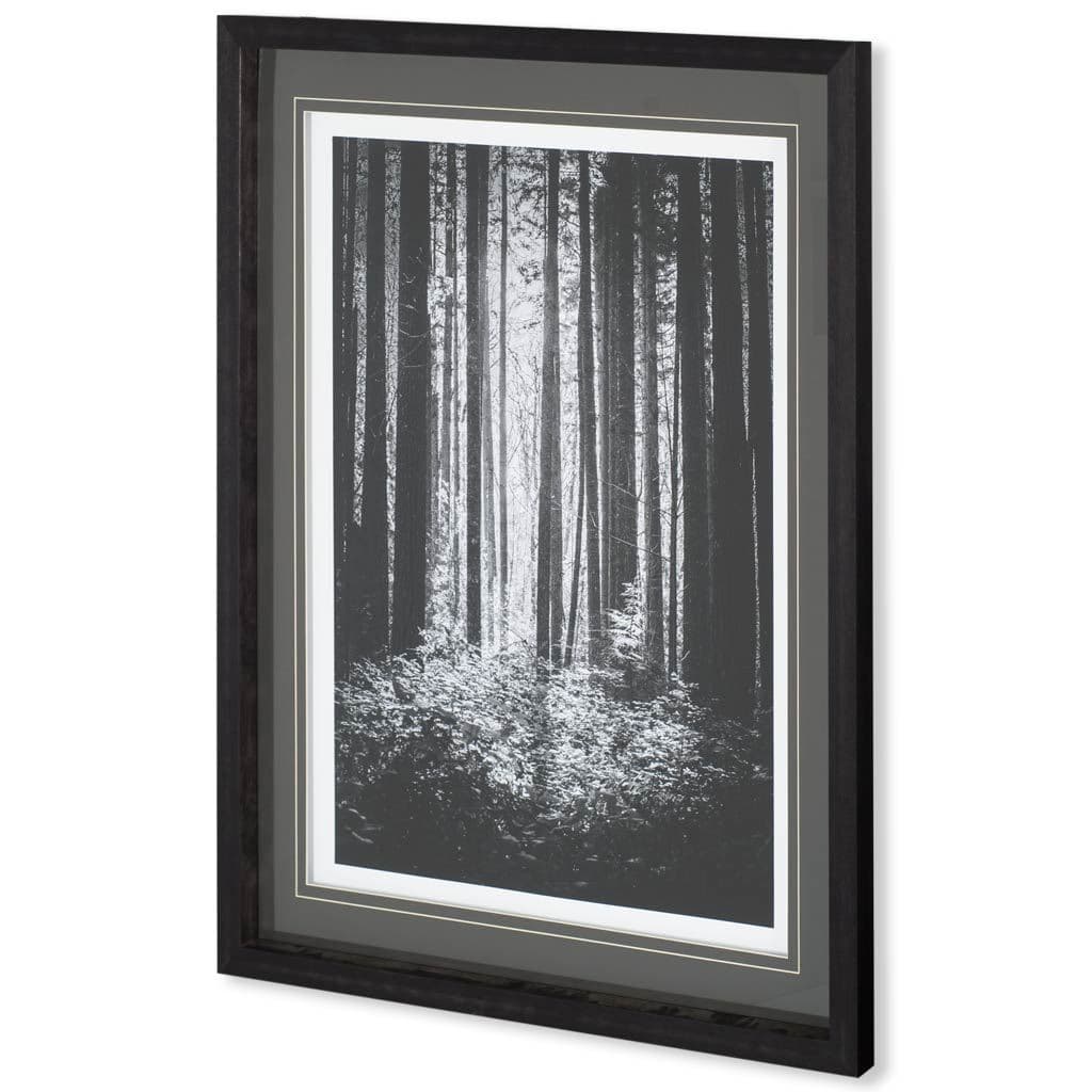 Lowland Winter Forest No 13, Tiger Mountain by Bisig, Steve a Framed Photo Art Print Matted under Gl — product photograph