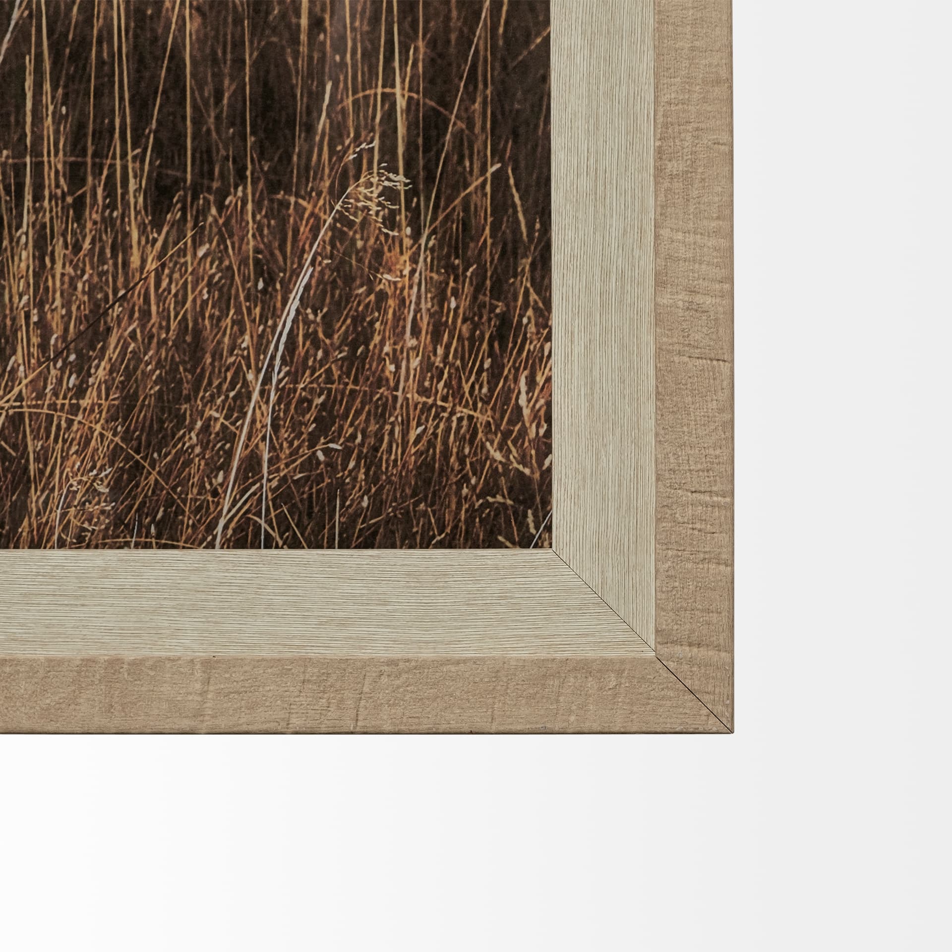 Yellowstone Bison by Dunker a Framed Photo Art Print Matted under Glass — product photograph