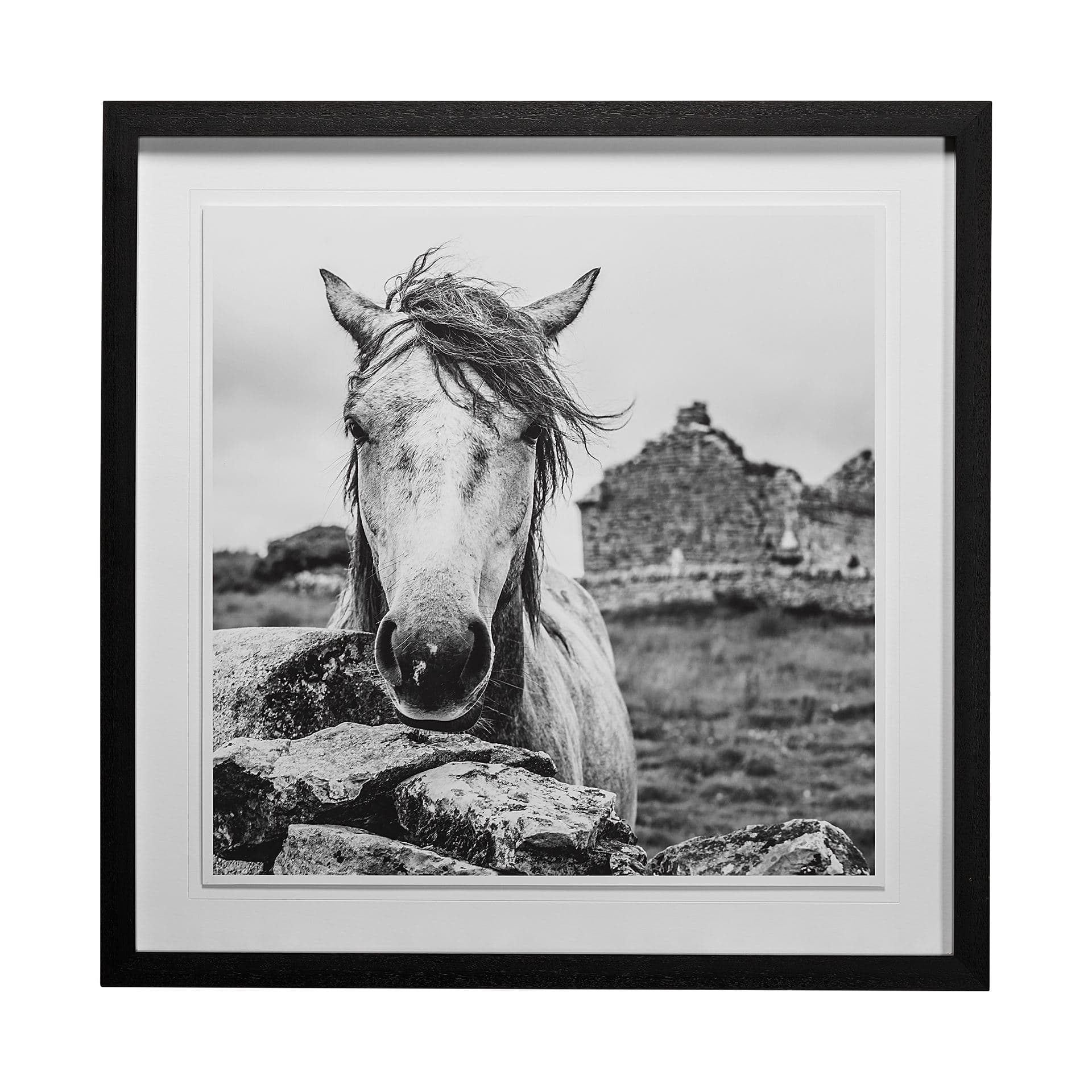 Ireland Black & White by Arabella Studios a Framed Photo Art Print Matted under Glass — product photograph