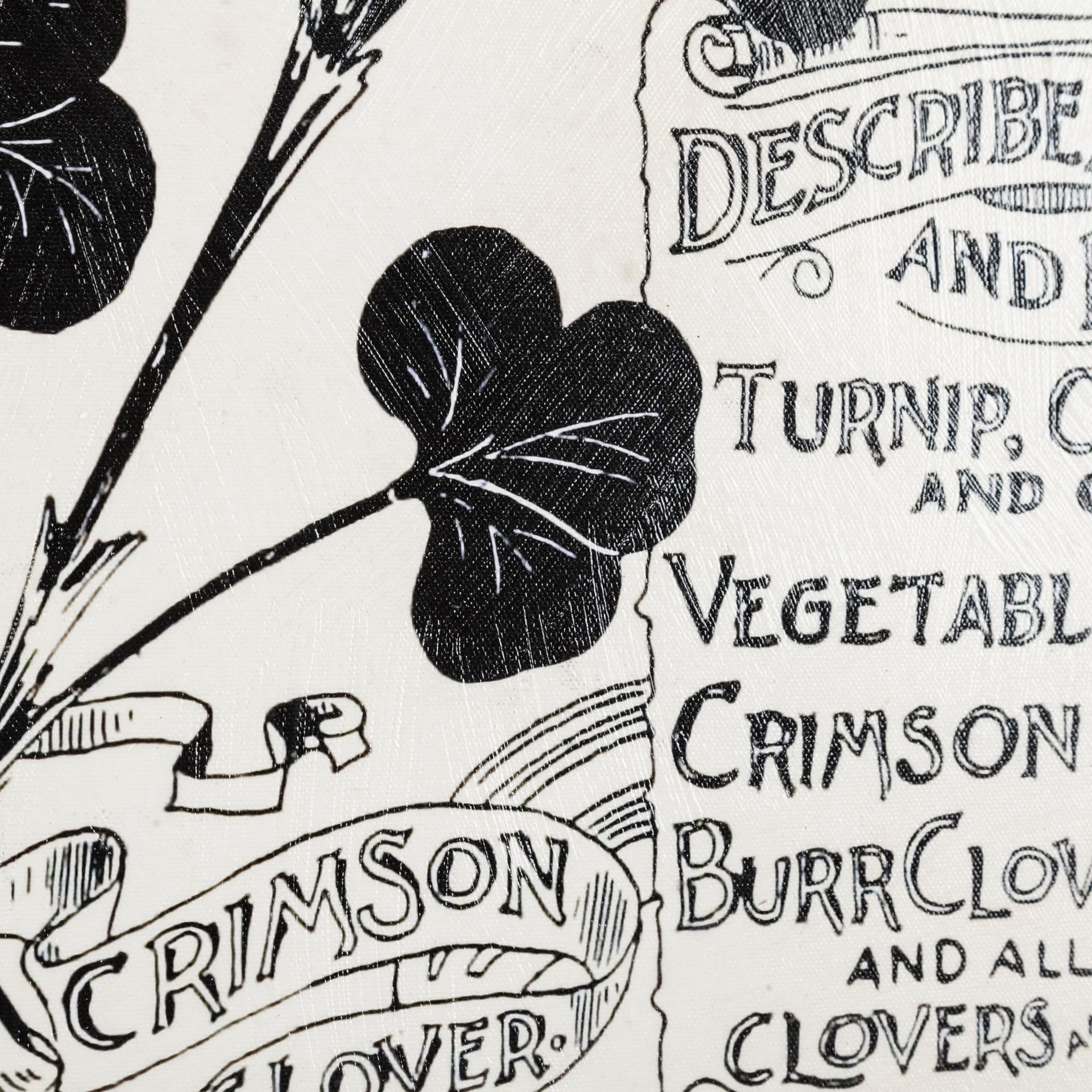 Antique Seed Packet XIV by Mercana Studio a Hand Embellished Textured Canvas — product photograph