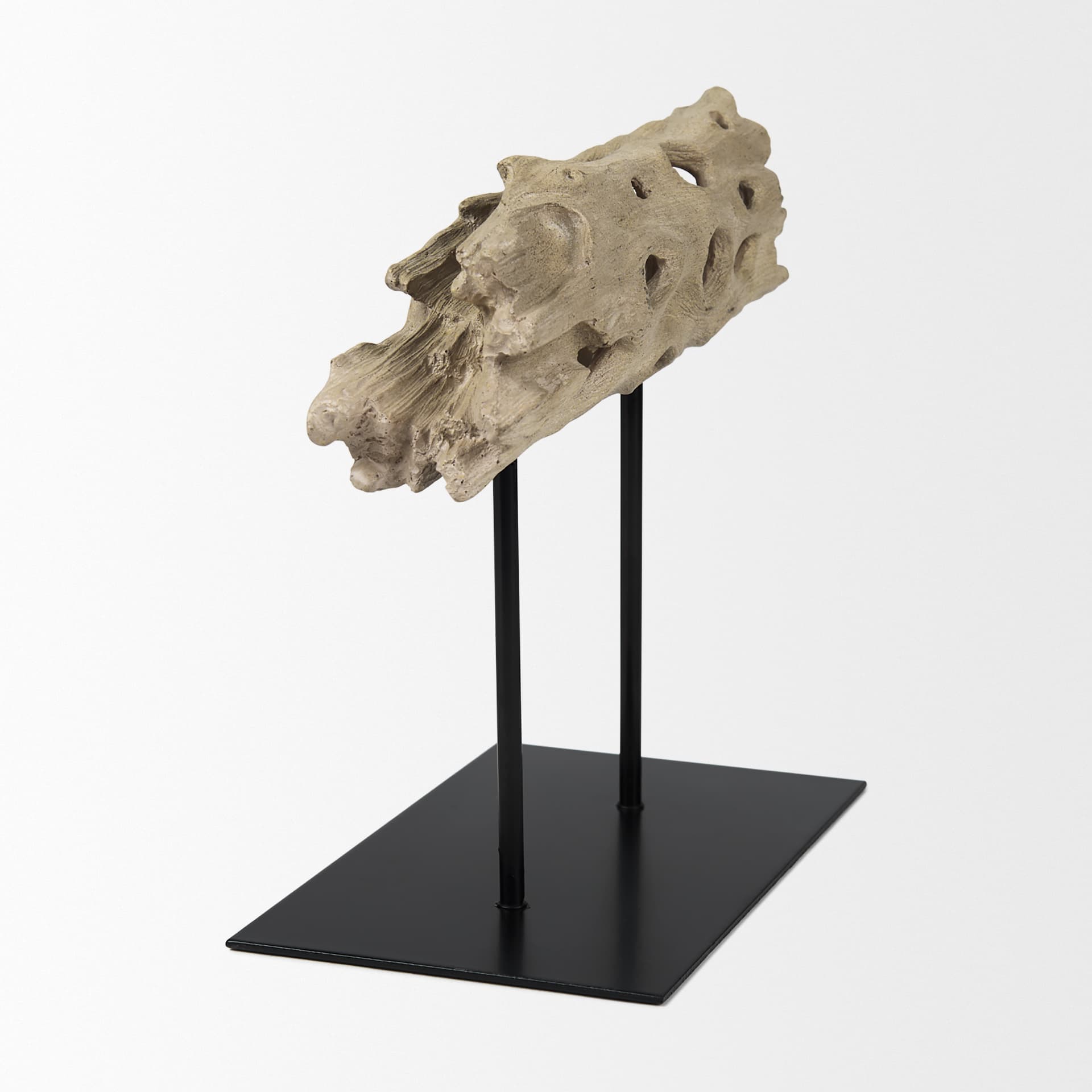 Dwell Cholla Wood Resin Decorative Object — product photograph