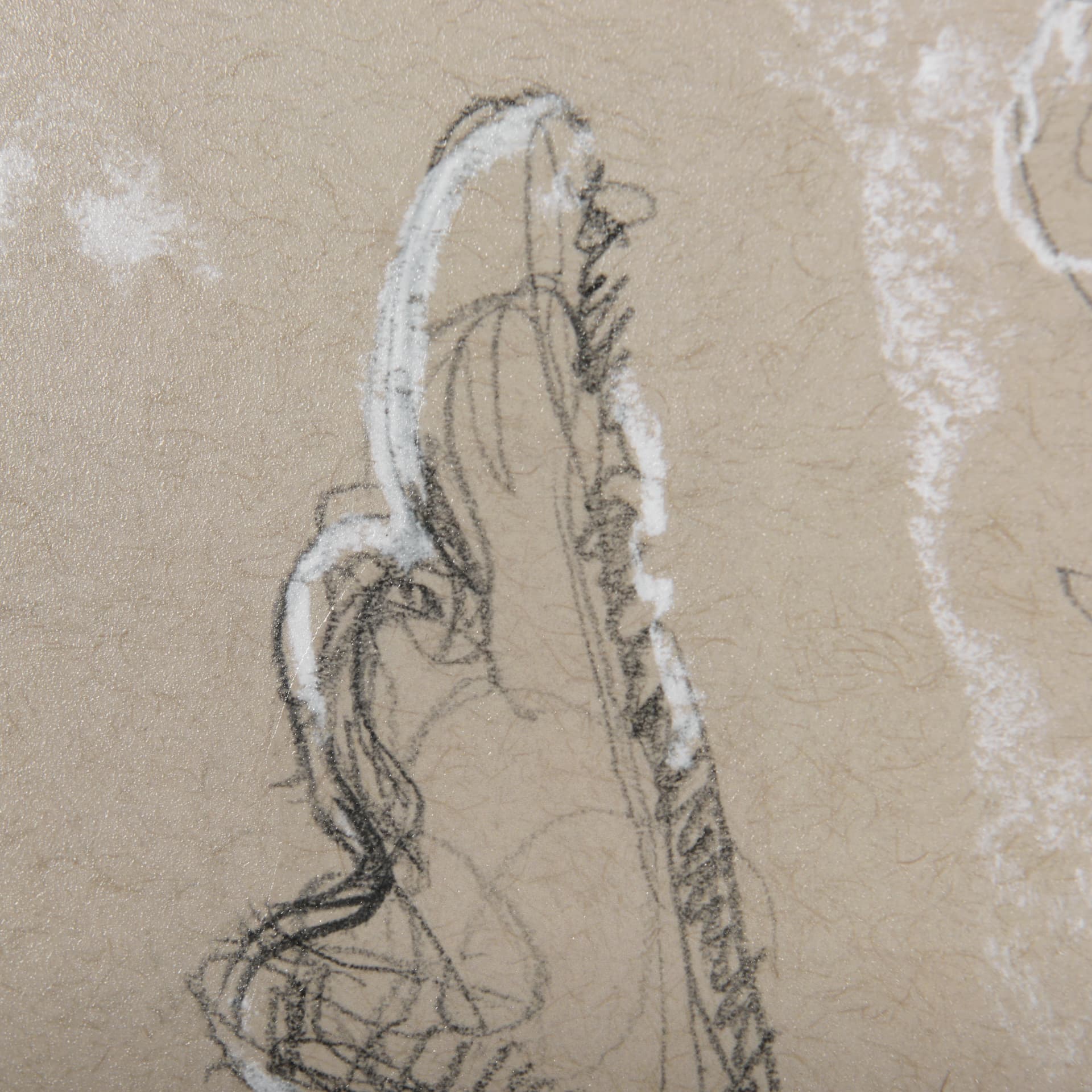 Sketch of animal II (Caribou) by Mercana Studio Hand Embellished Framed Art Print Matted under Glass — product photograph