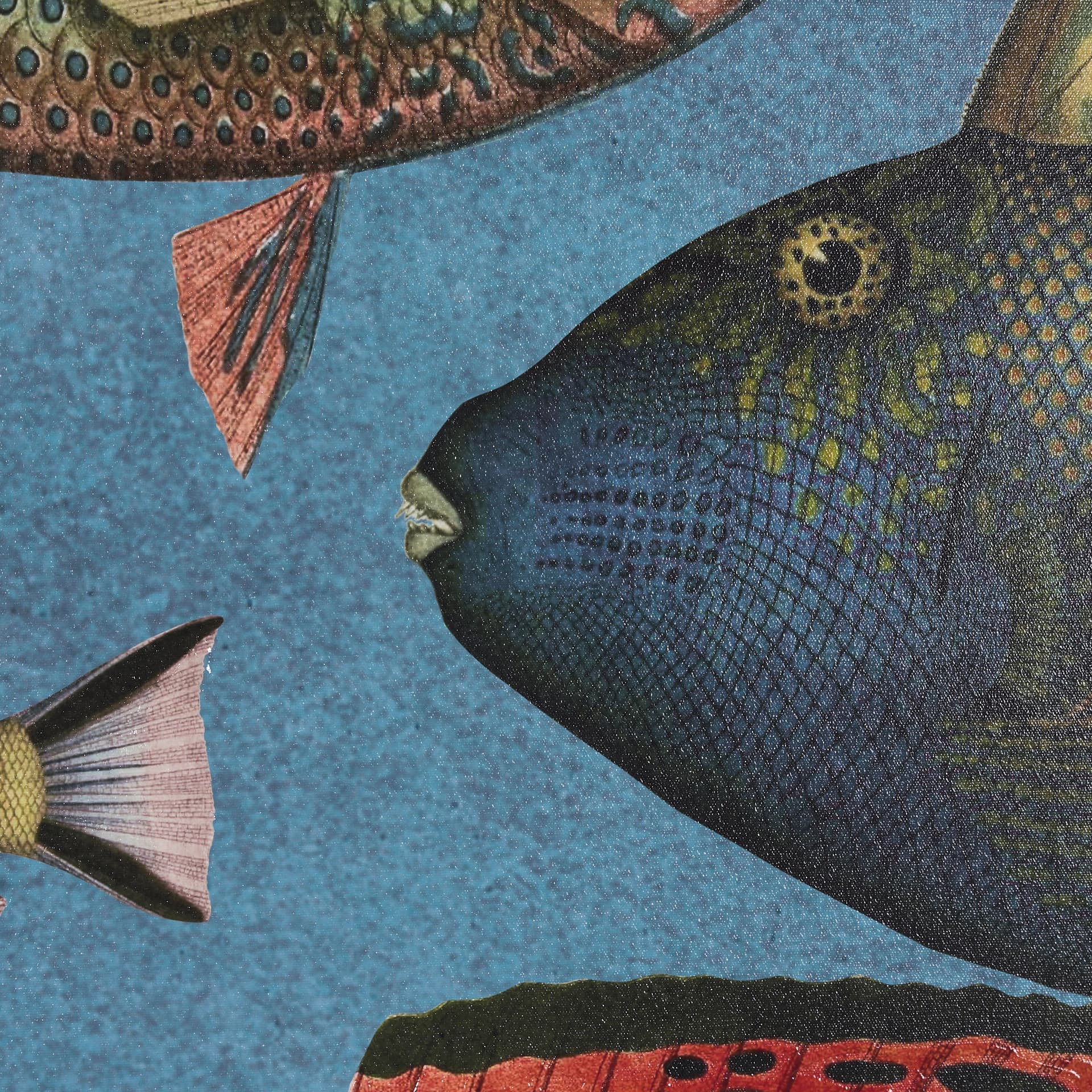Vadum Piscis by Mercana Studio a Hand Embelished Textured Framed Art Print — product photograph