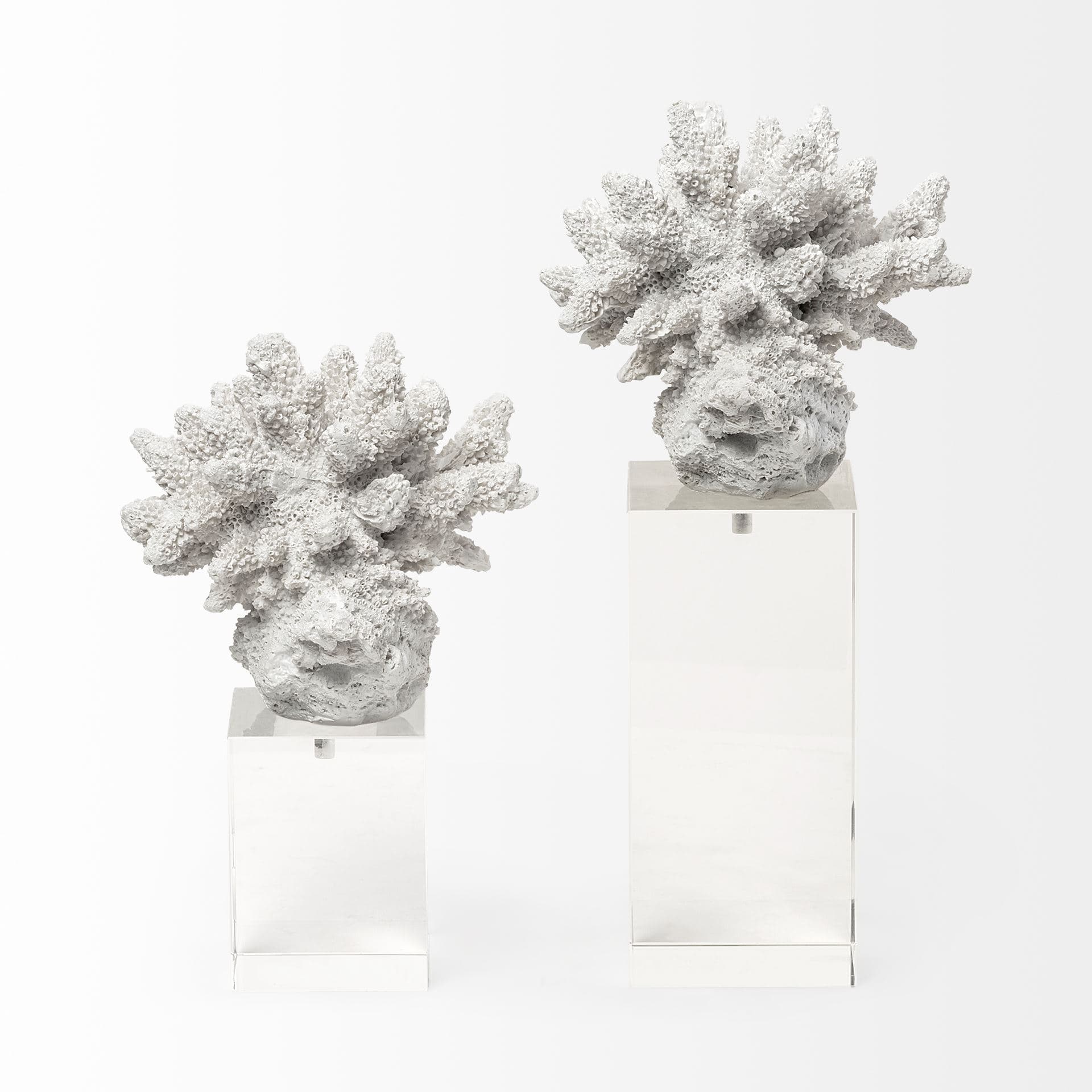 Isla (Large) 5L x 5W White Replica Resin Coral On Clear White Glass — product photograph