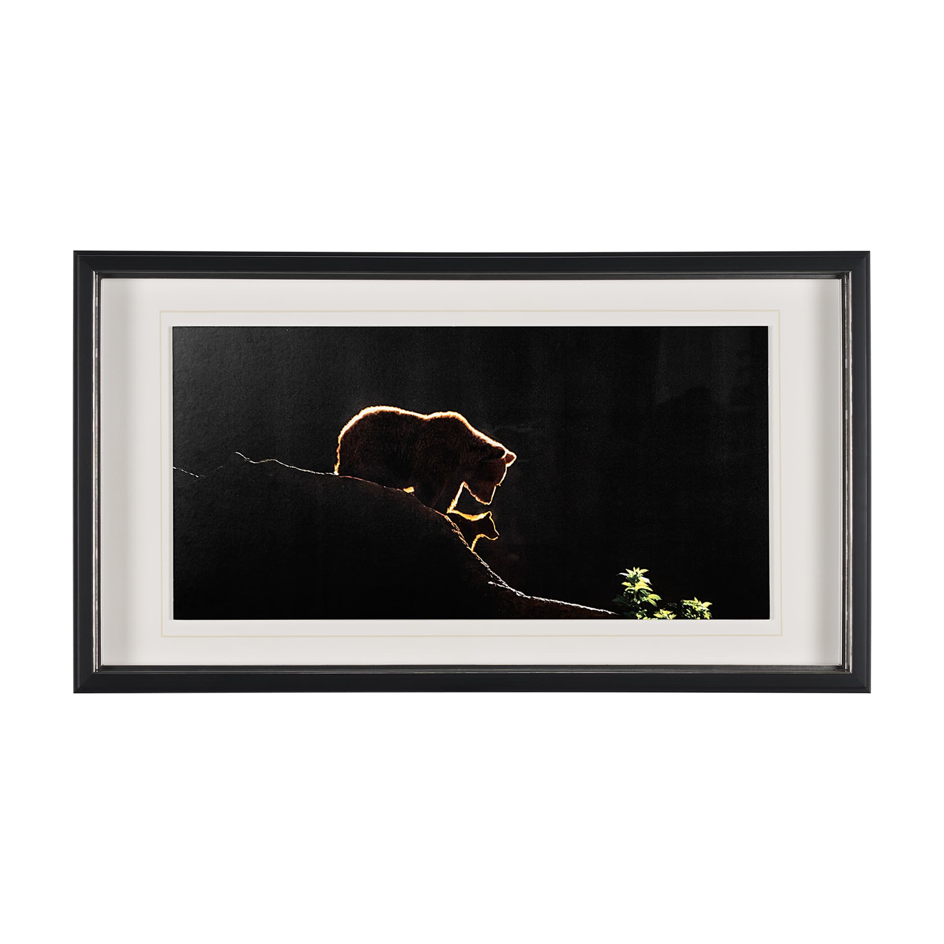 Protection by Xavier Ortega a Framed Photo Art Print Matted under Glass — product photograph