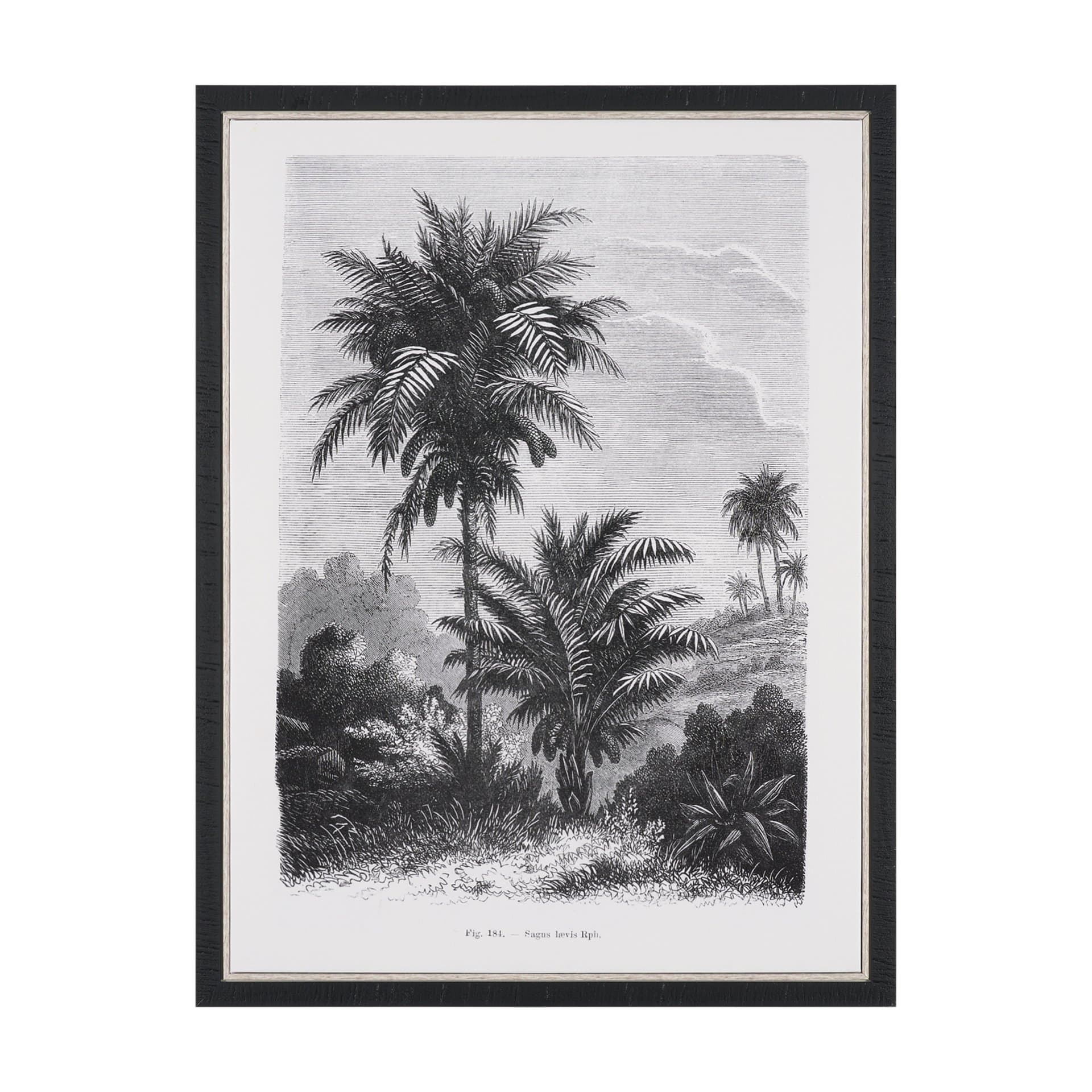 Vintage Palm Tree Drawing V by Les Palmiers Histoire a Hand Embellished Textured Framed Canvas — product photograph