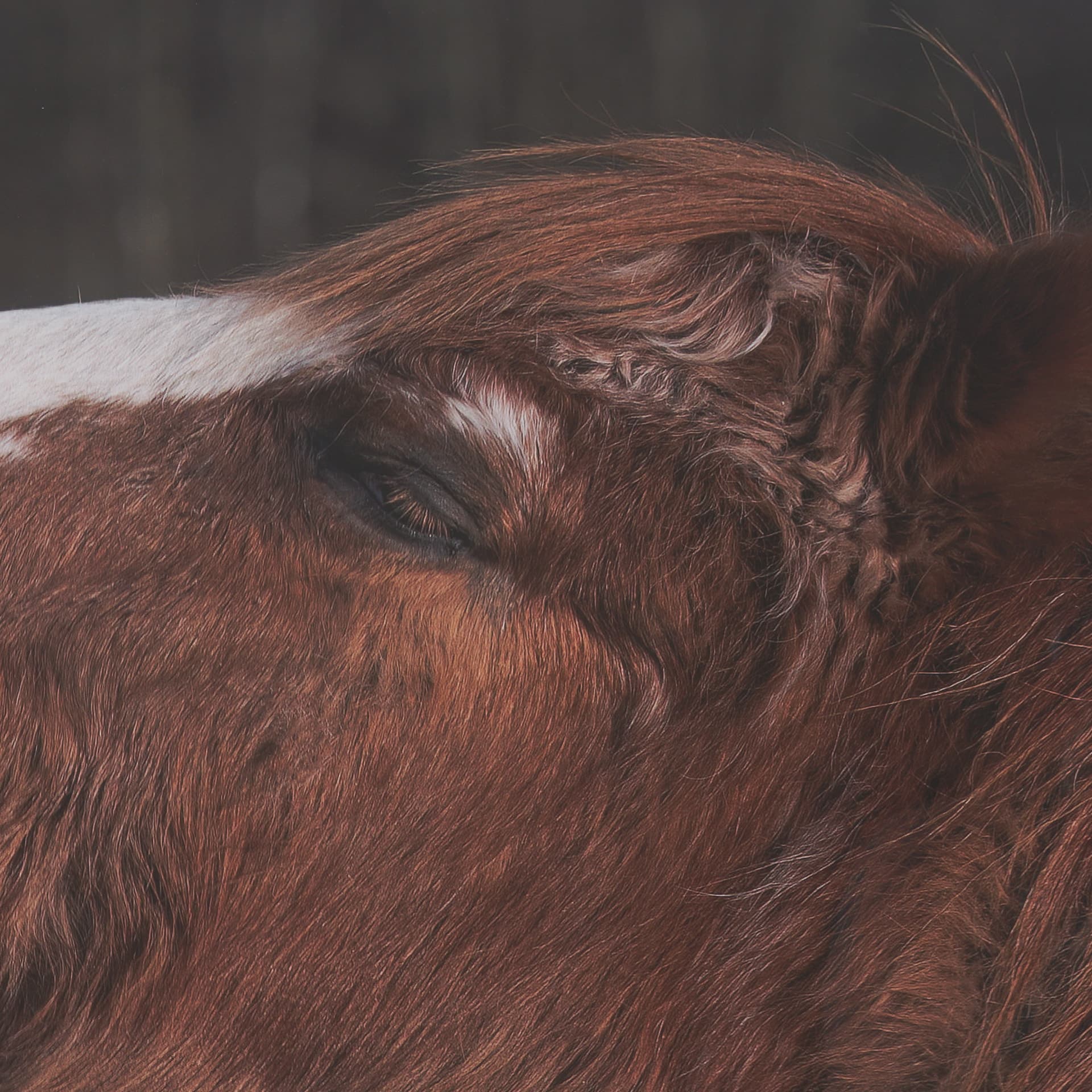 Hay over Here. by Chad Mackay FramedPhoto Print Matted under Glass — product photograph