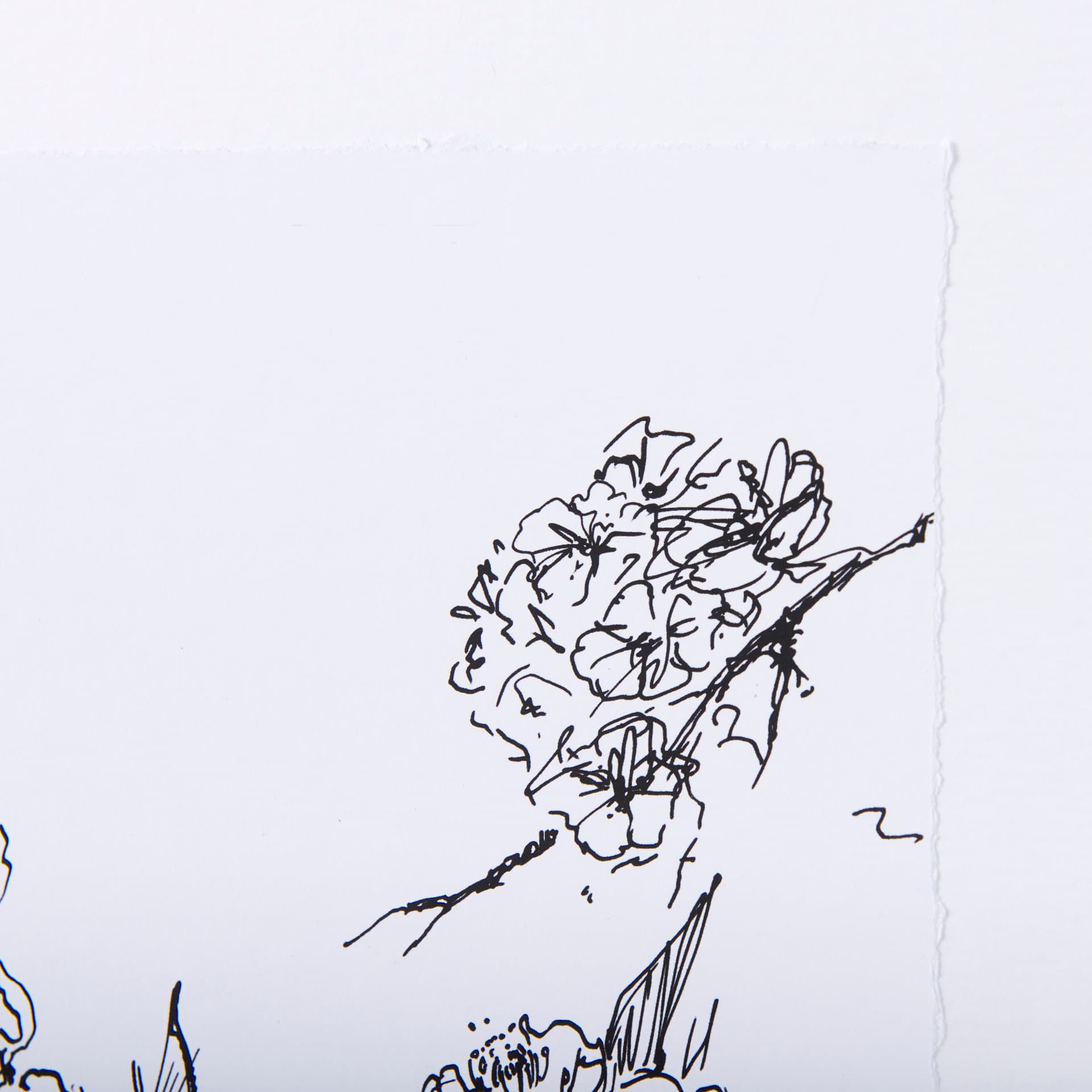 Spring Blooming V by Mercana Studio a Hand Embellished Textured Framed Art Print Matted under Glass — product photograph