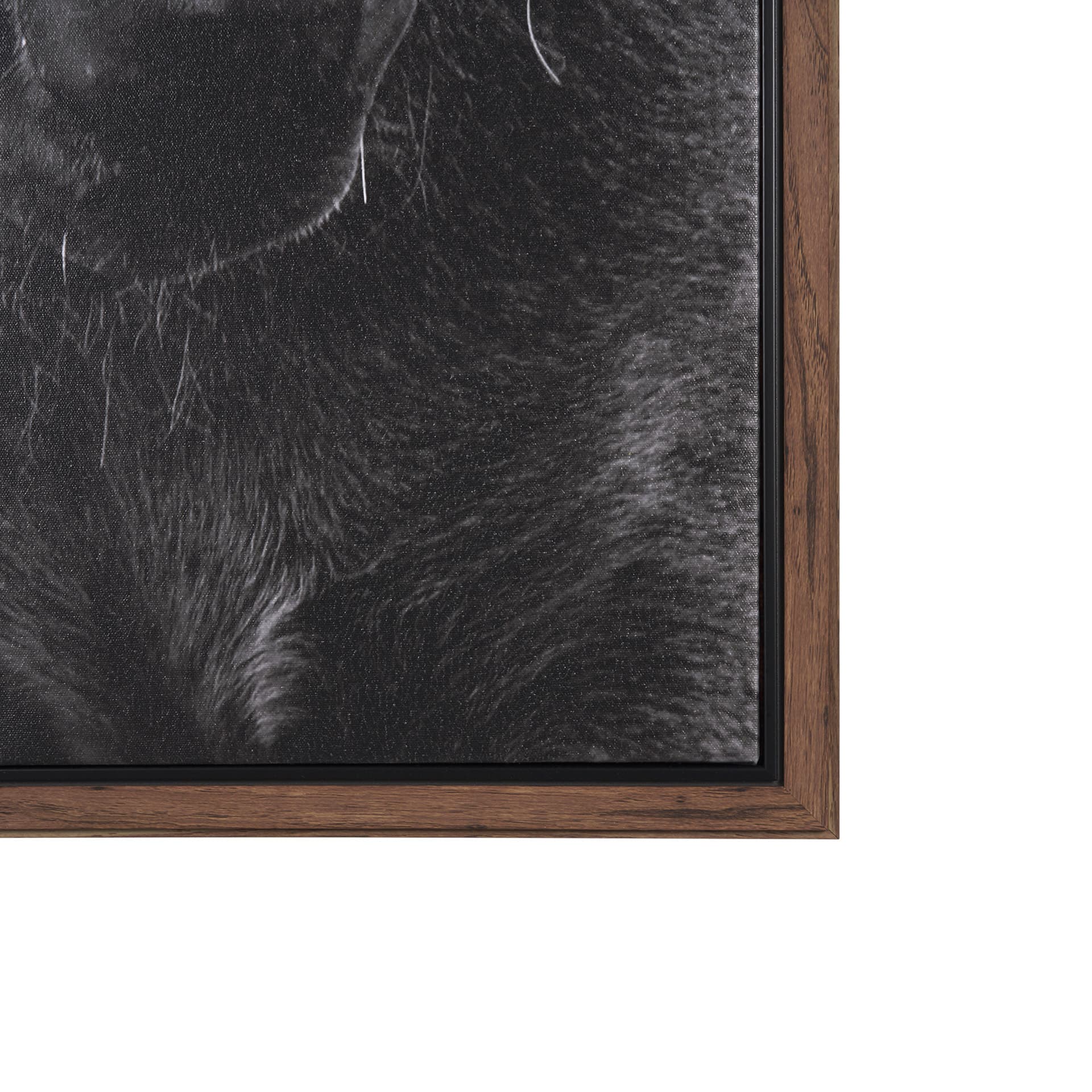 The Foal by Mercana Studio a Hand Embellished Textured Framed Canvas — product photograph