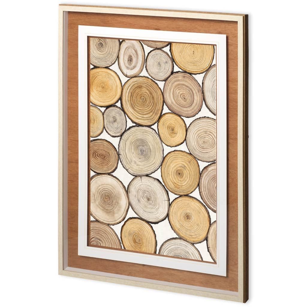 Tree Ring Study I by Mercana Studio a Framed Art Print Matted under Glass — product photograph