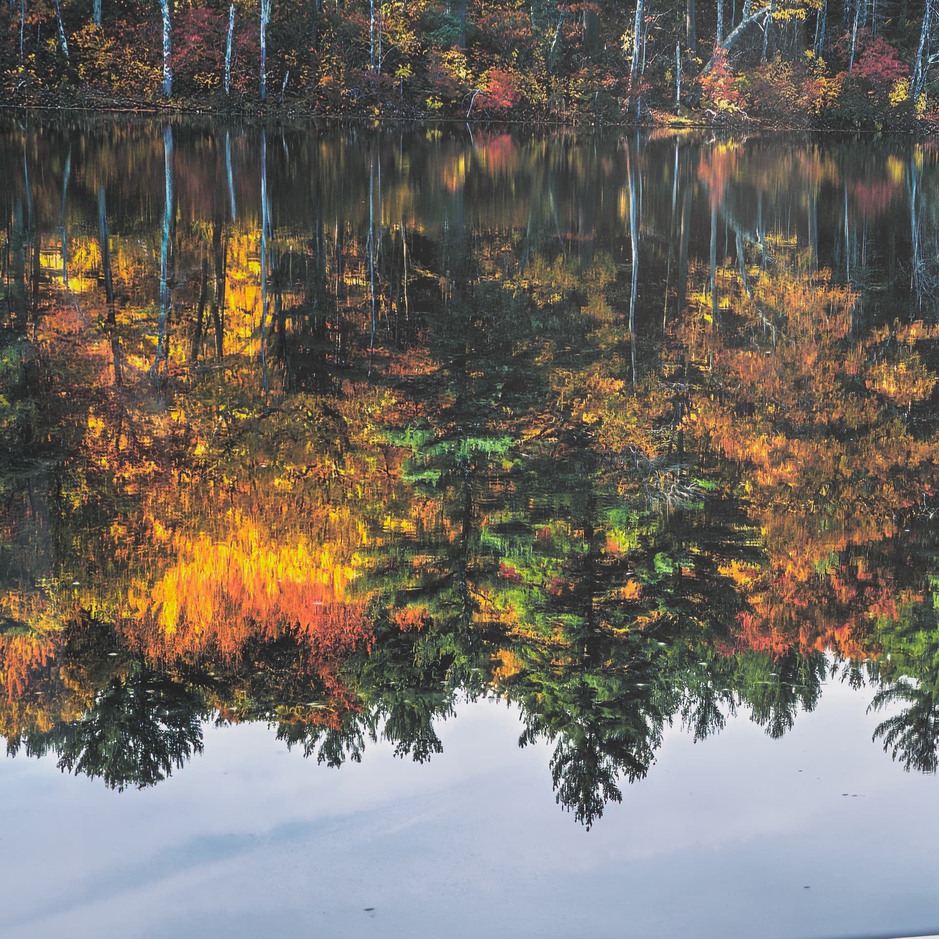 Fall Reflections by Dimitry Papkov Framed Art Print Matted under Glass — product photograph