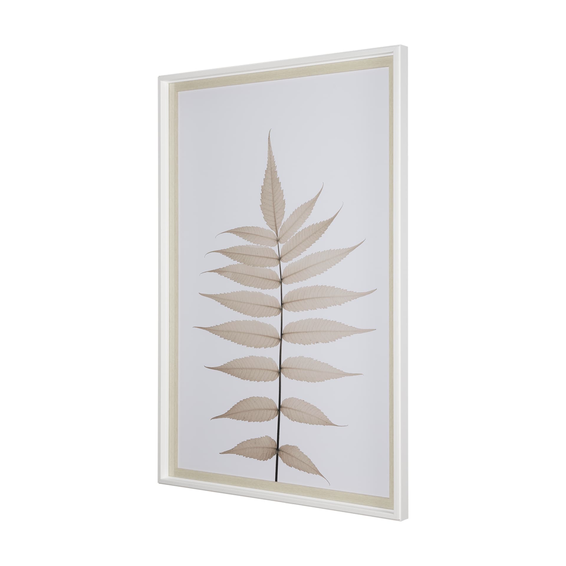 Lithe Leaves by Assaf Frank a Framed Art Print Matted under Glass — product photograph