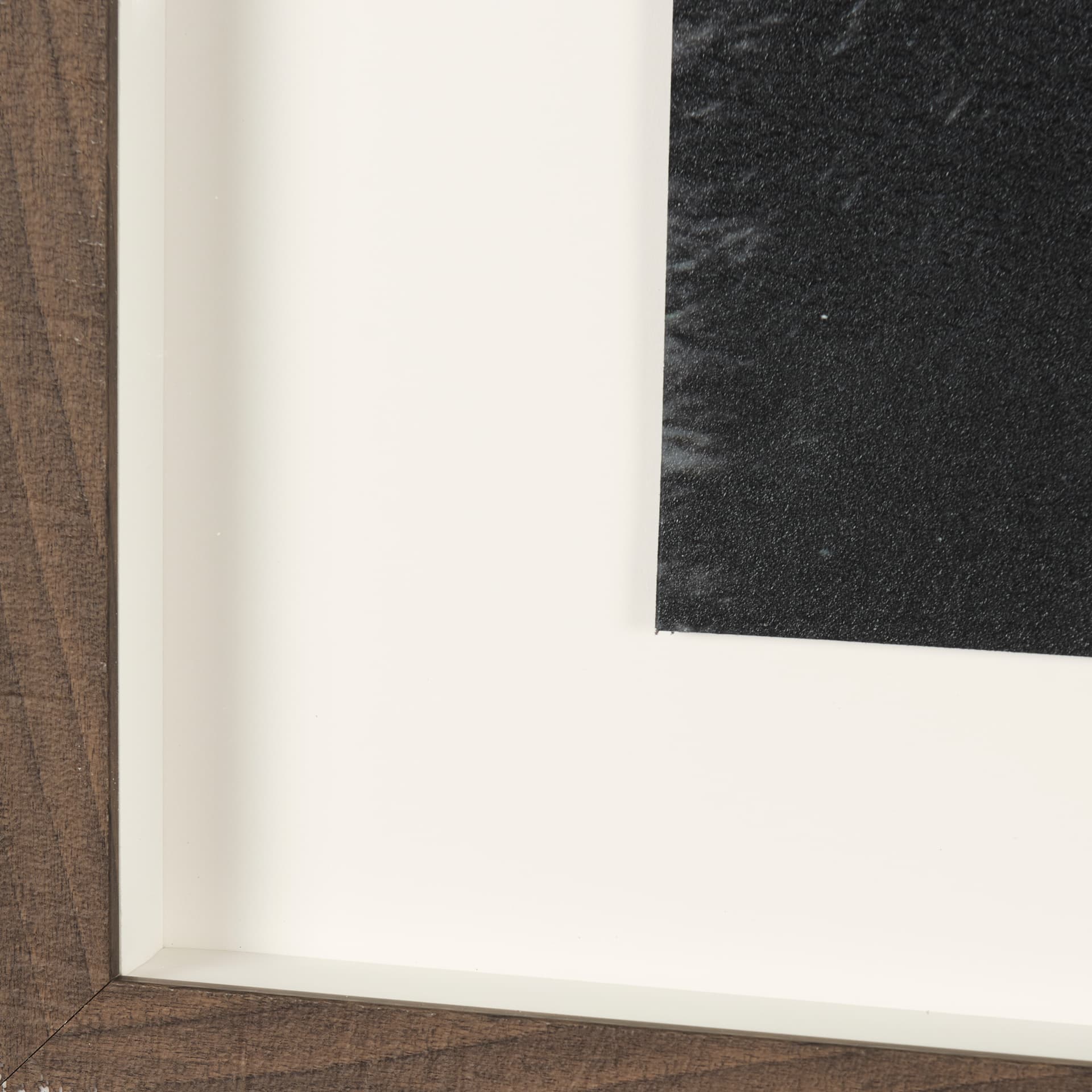Grizzly Bear by Chad Mackay a Hand Embellished Textured Framed Photo Art Print Matted under Glass — product photograph