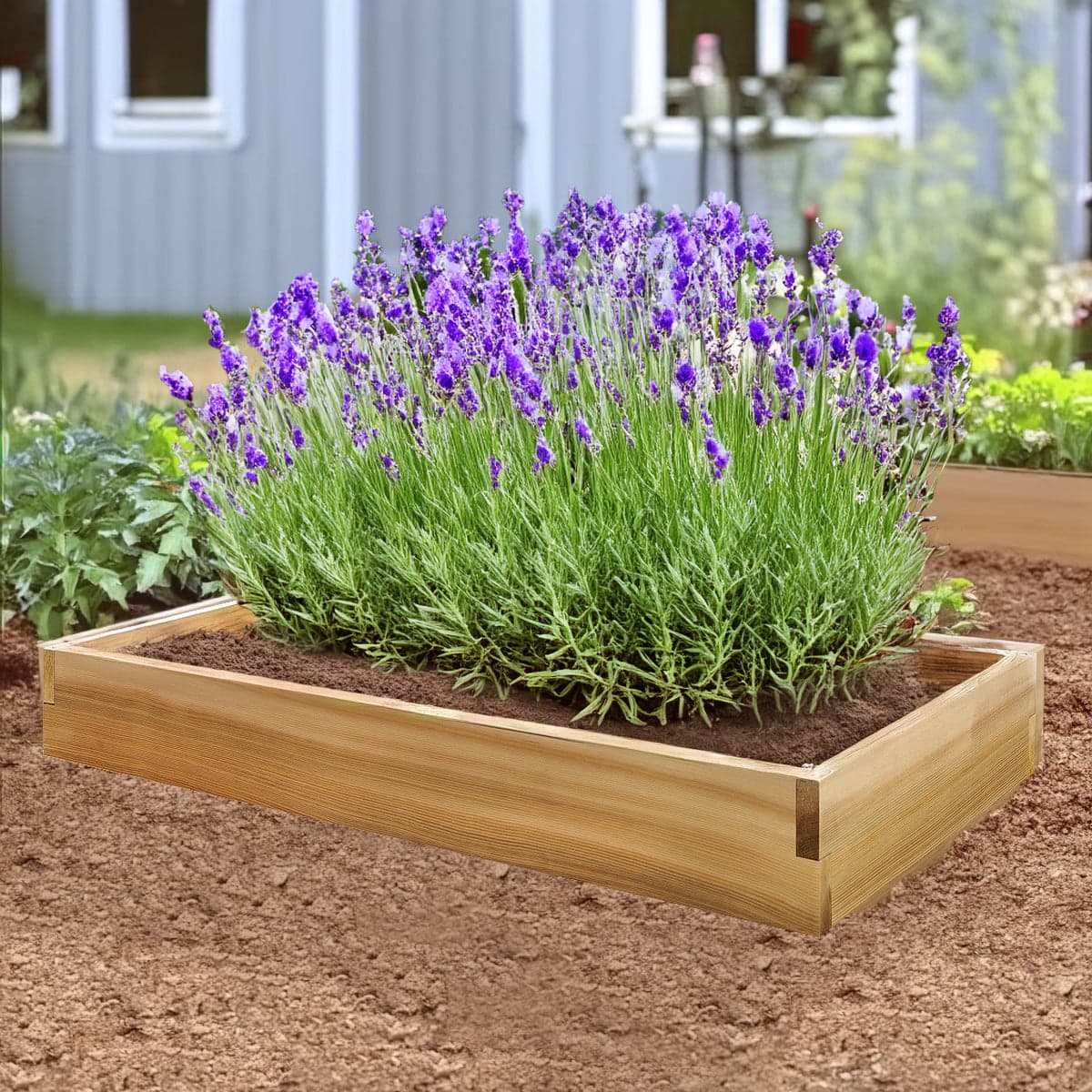 4-ft x 2-ft Raised Cedar Garden Box RG48 — product photograph