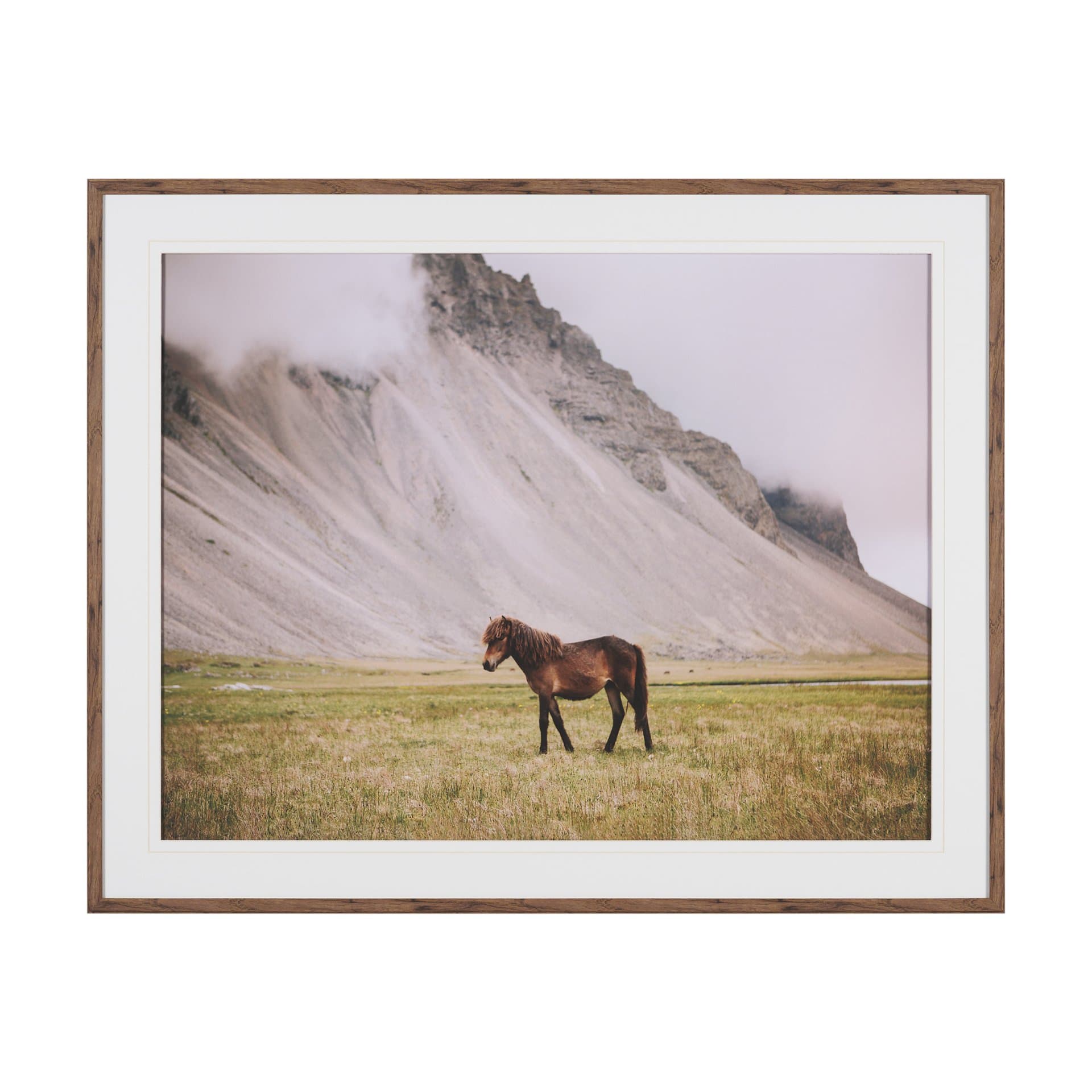 Icelandic Horse by Stefan and Audrey Framed Photo Print Matted under Glass — product photograph