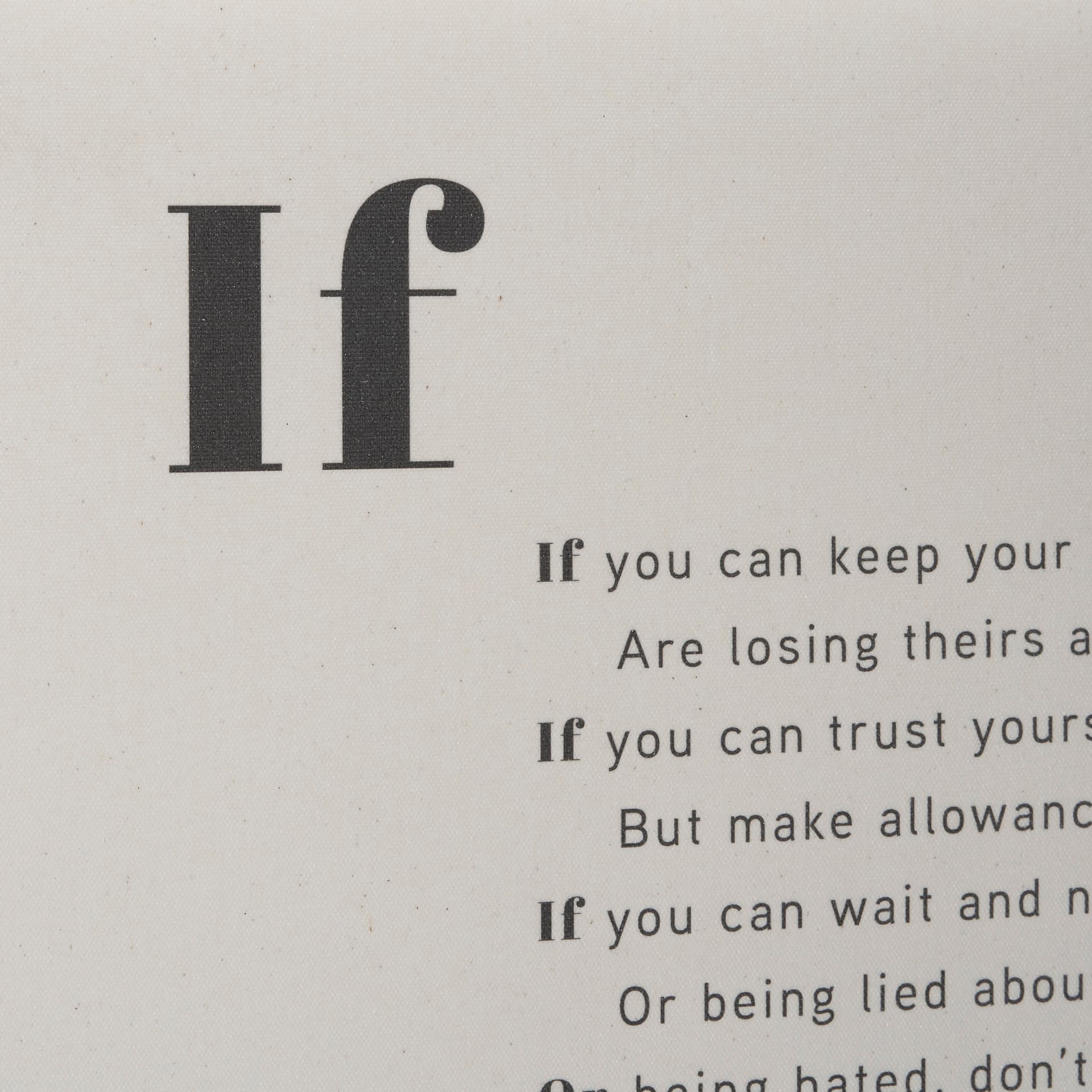 If You Can by Mercana Studio a Hand Embellished Framed Art Print Matted under Glass — product photograph