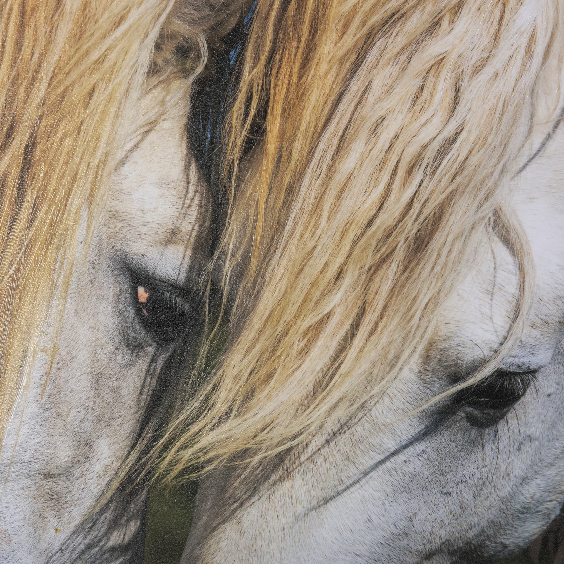 Nuzzled Together by Mercana Studio a Hand Embellished Textured Framed Art Photo Matted under Glass — product photograph