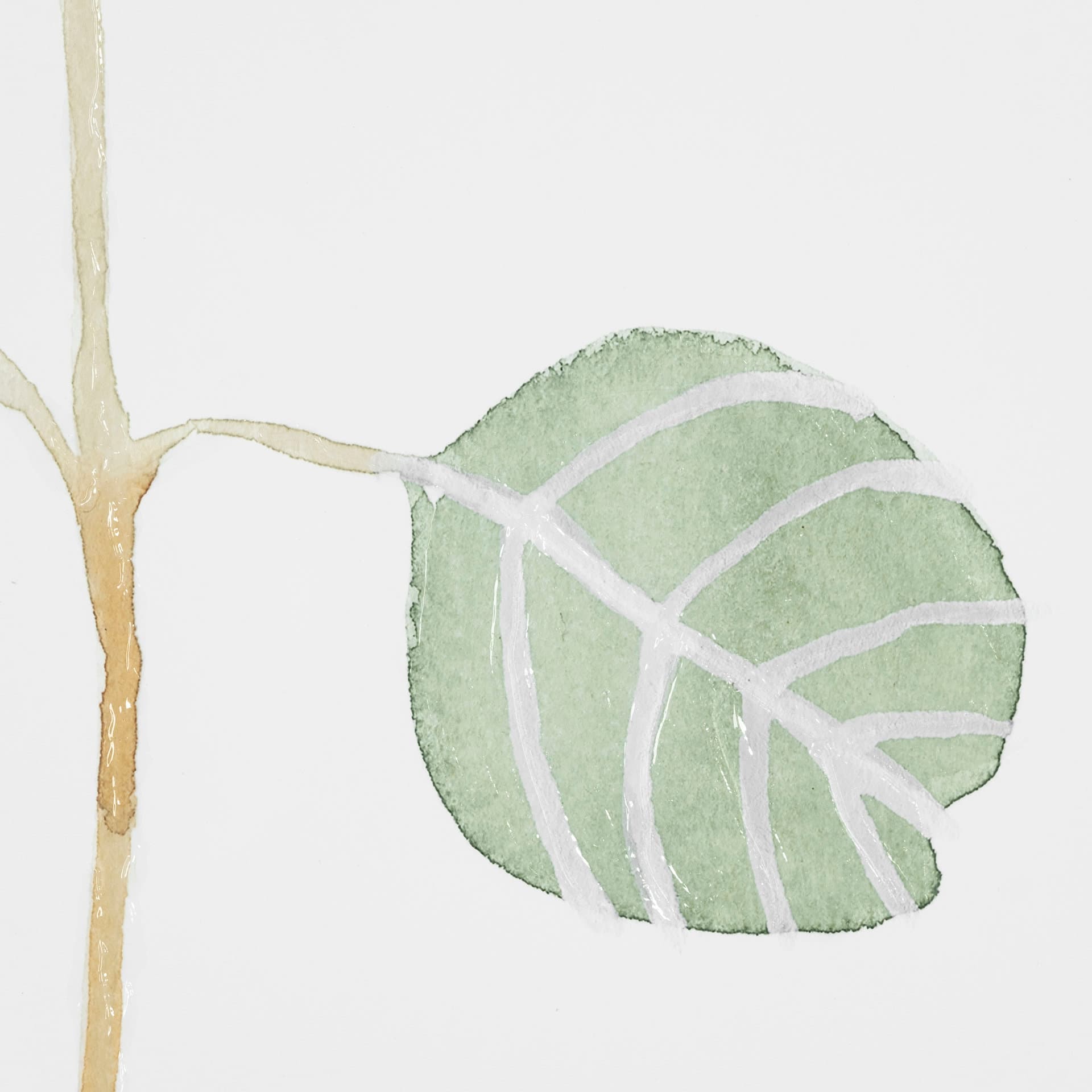 Soft Eucalyptus Branch II by Emma Scarvey Hand Embellished Framed Art Print Matted under Glass — product photograph
