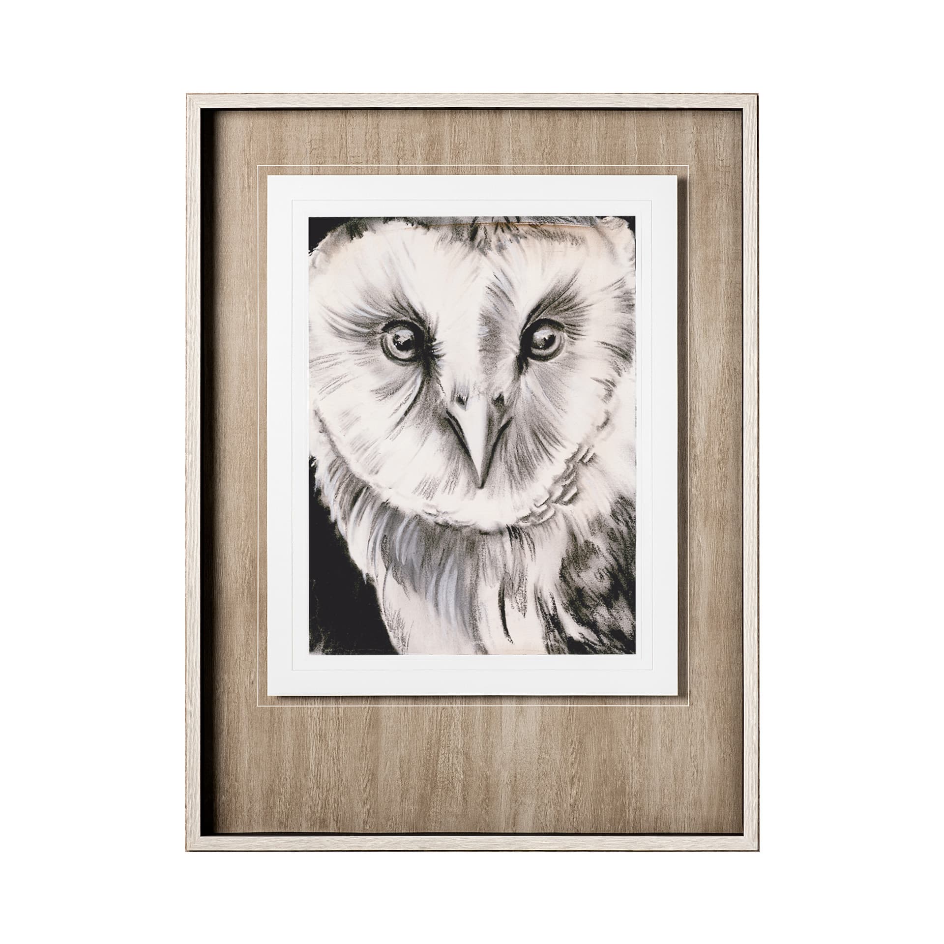 Charcoal Owl II by Jennifer Paxton Parker a Framed Art Print Matted under Glass — product photograph