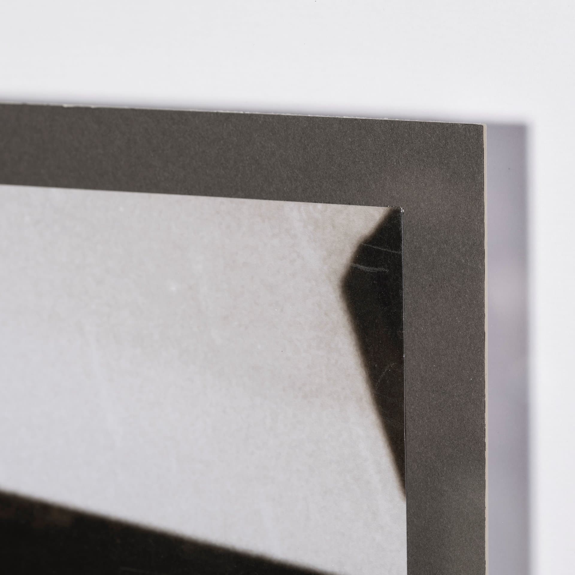 Hanging Out by Jim Drafield a Framed Photo Art Print Matted under Glass — product photograph