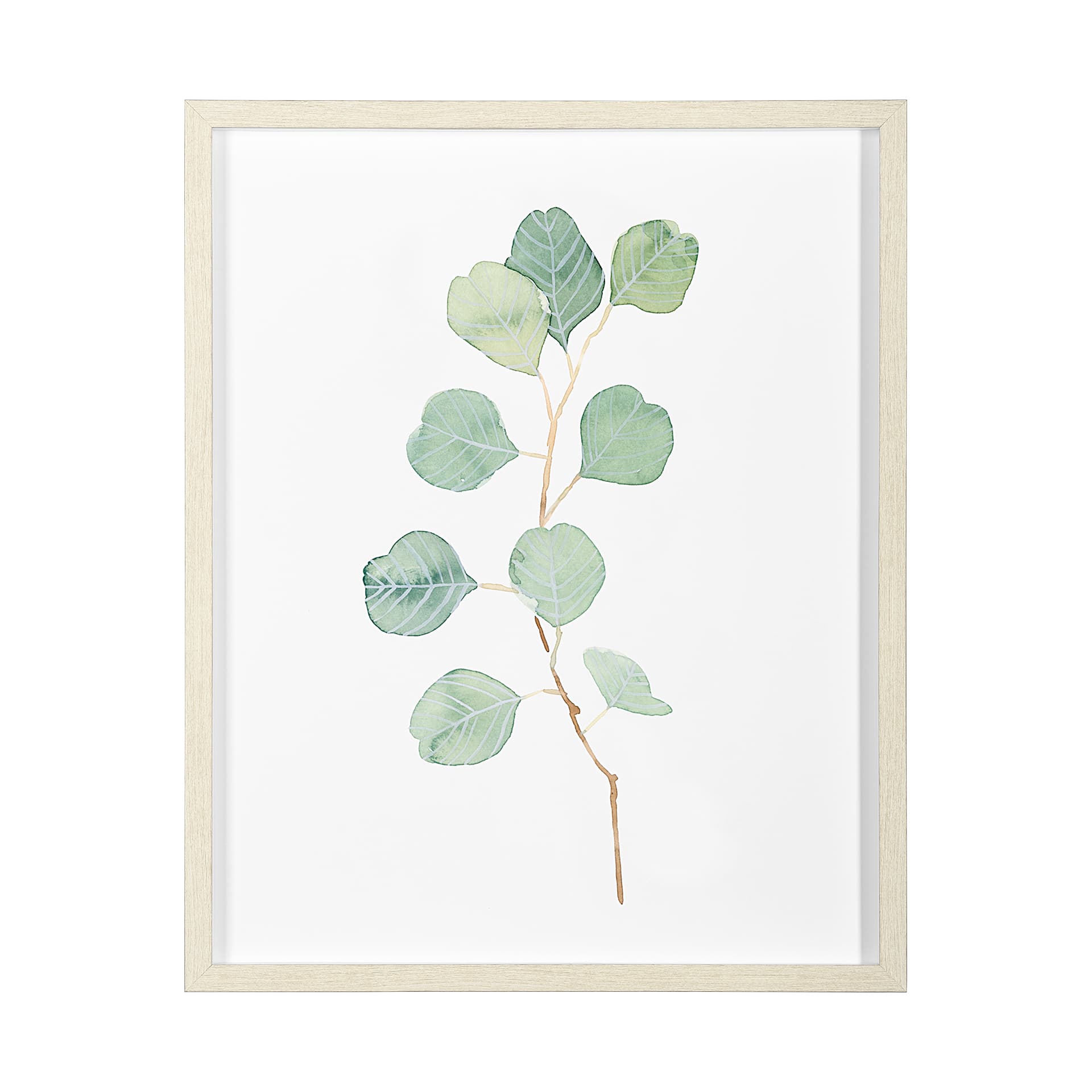 Soft Eucalyptus Branch IV by Emma Scarvey Hand Embellished Framed Art Print Matted under Glass — product photograph