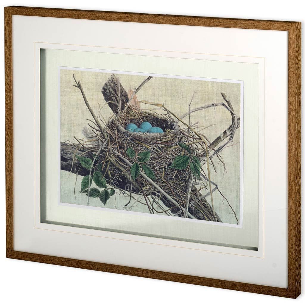 Custom Nesting II (MC) by John Butler Hand Embellished Textured Framed Art Print Matted under Glass — product photograph