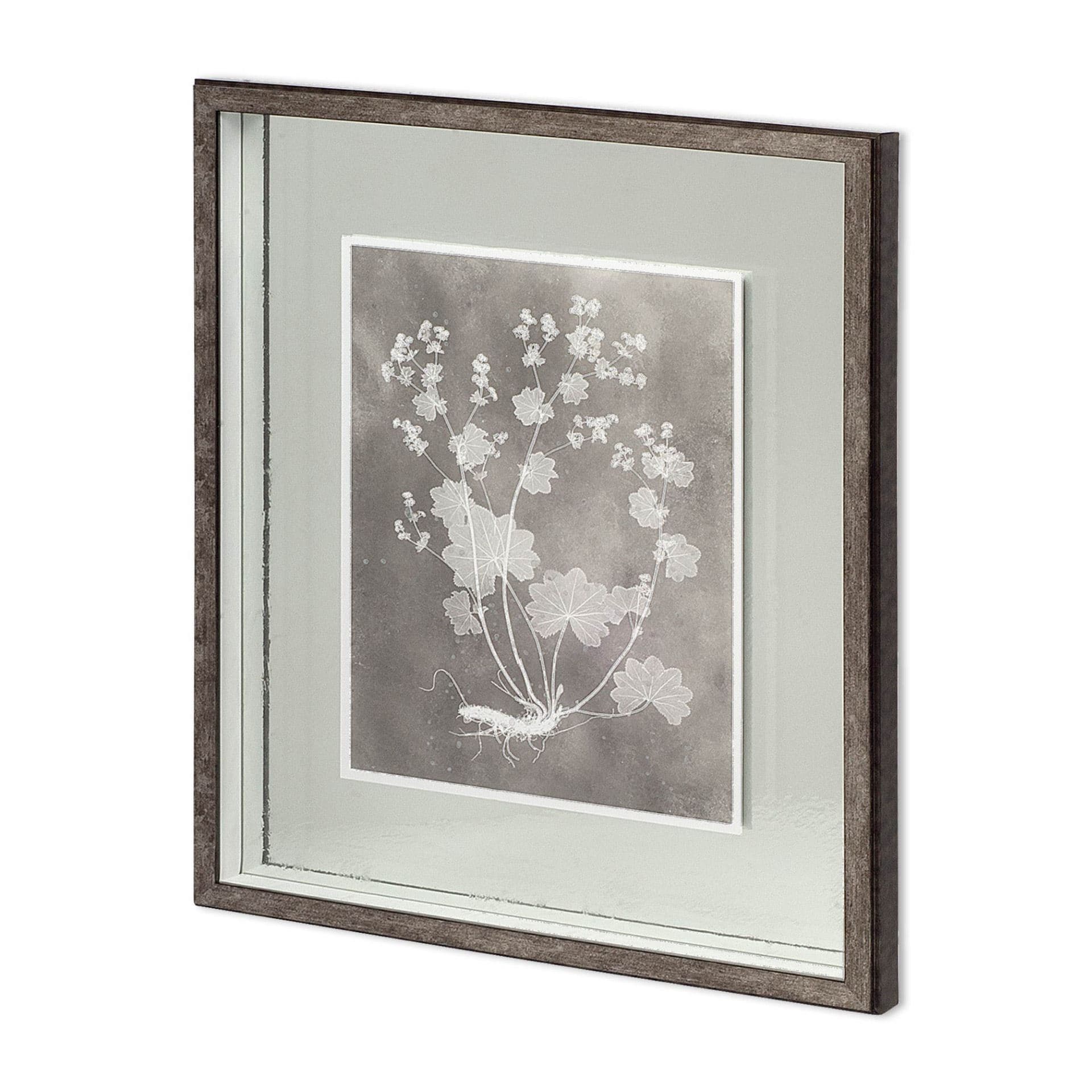 Custom Herbarium Study I by Vision Studio Hand Embellished Framed Art Print Matted under Glass — product photograph
