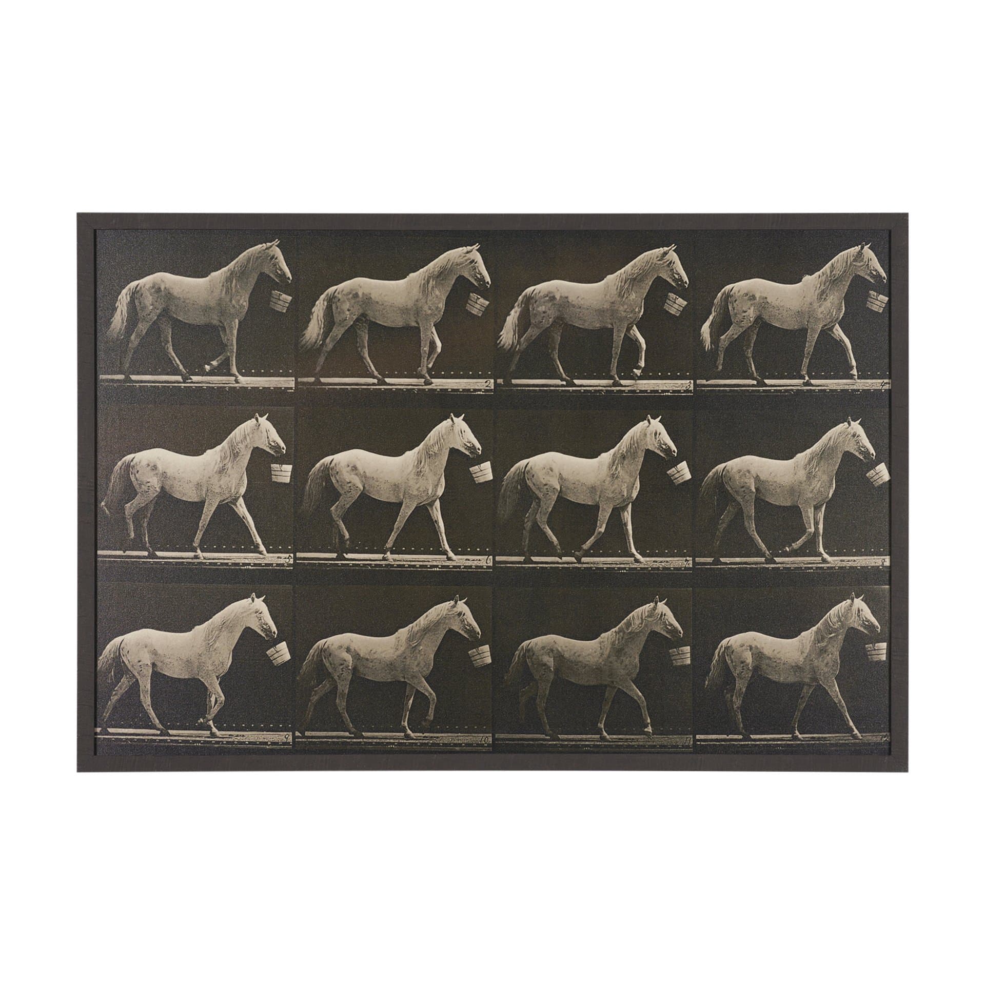 Walking Tall by Eadweard Muybridge Textured Framed CanvasPhoto Print — product photograph