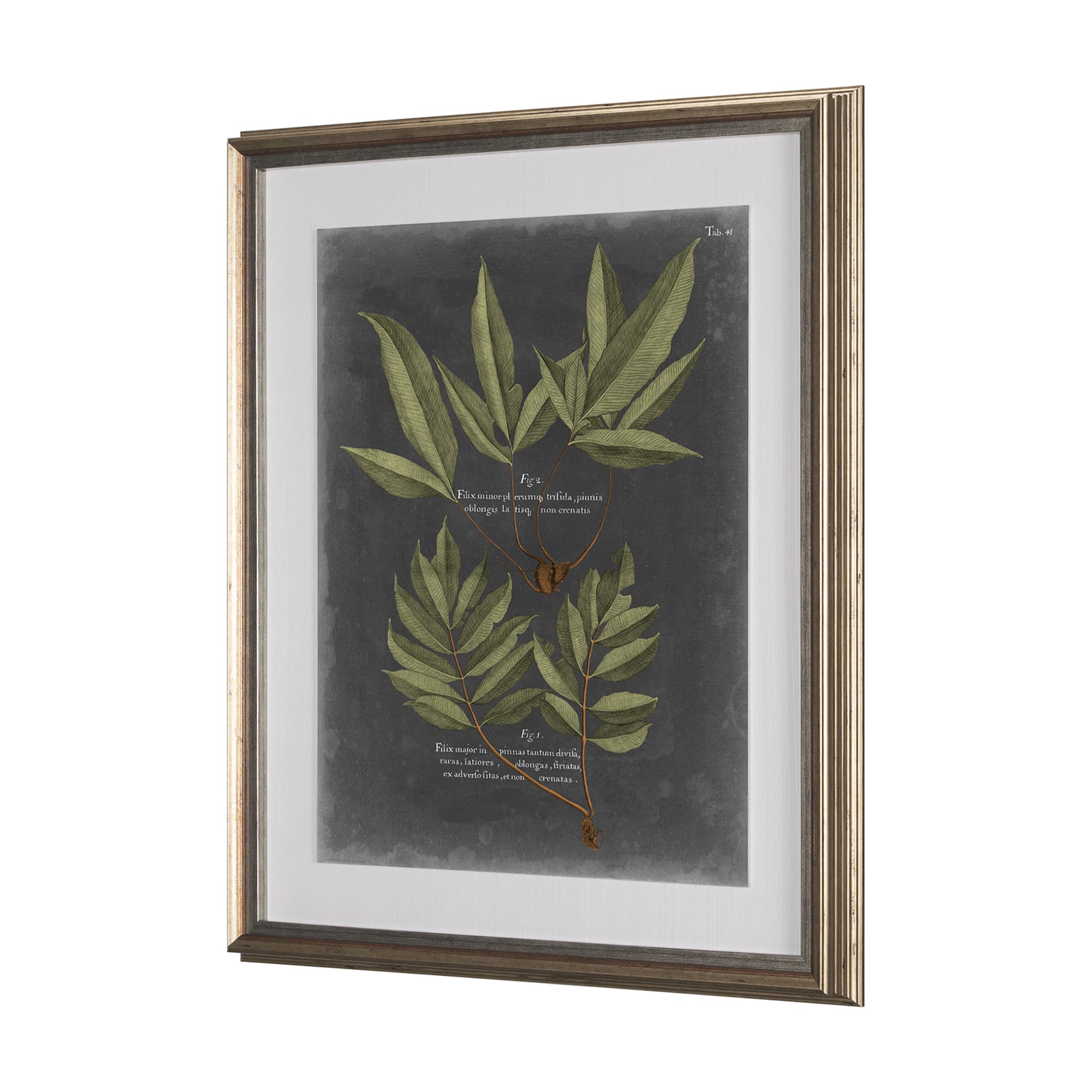 Foliage Dramatique IV by Vision Studio Hand Embellished Textured Framed Art Print Matted under Glass — product photograph