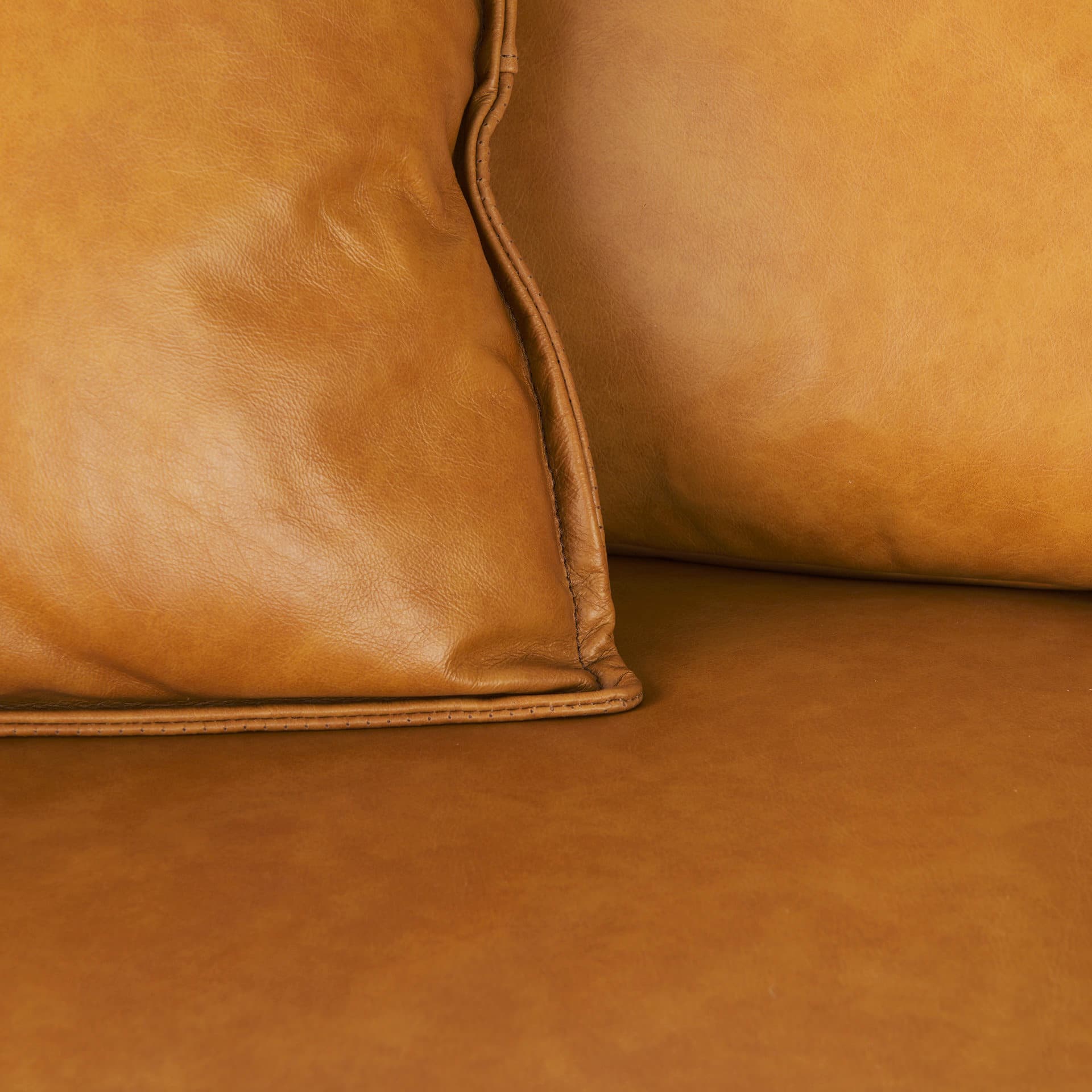 D'Arcy 88.0L x 37.0W x 34.0H Tan Leather Sofa — product photograph
