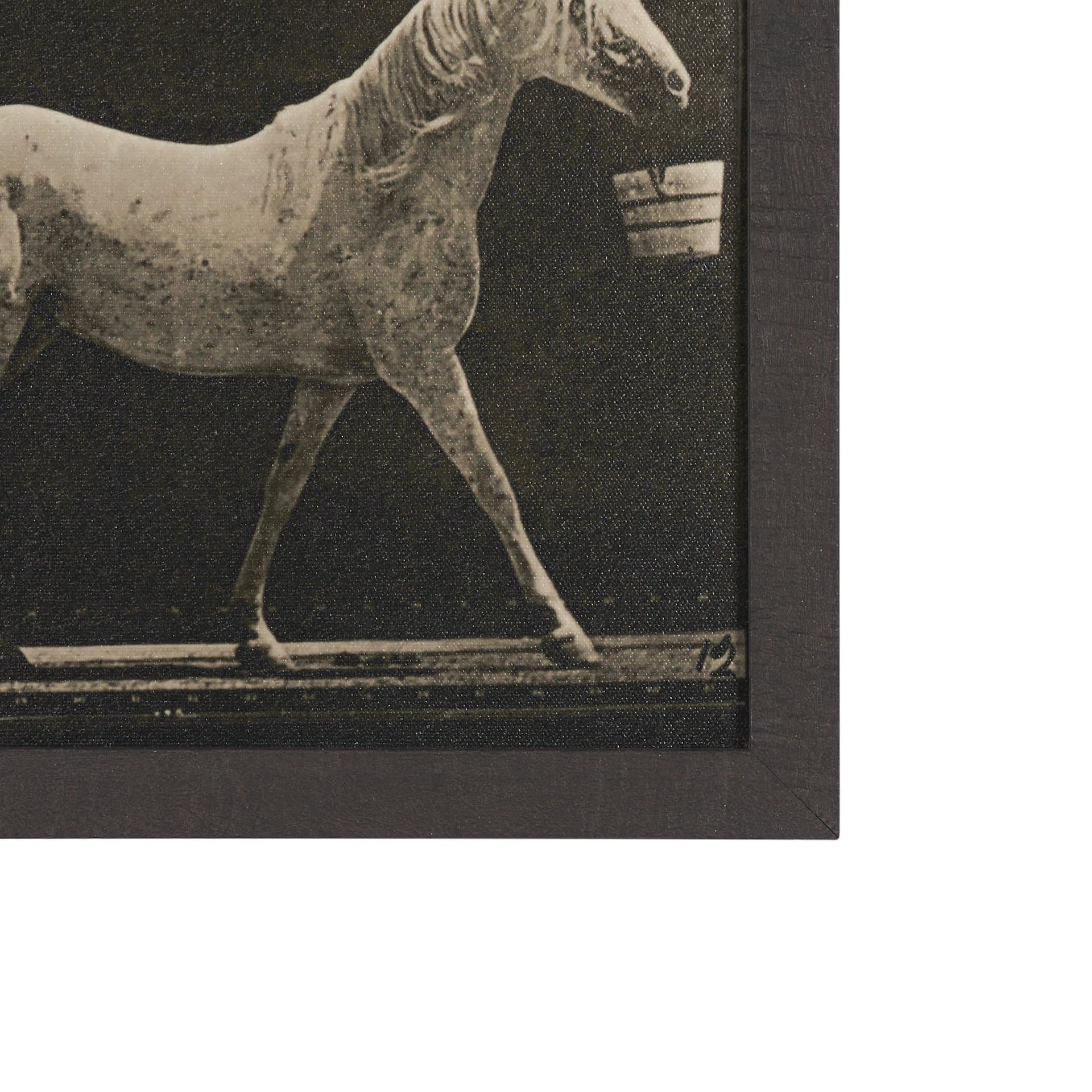 Walking Tall by Eadweard Muybridge Textured Framed CanvasPhoto Print — product photograph