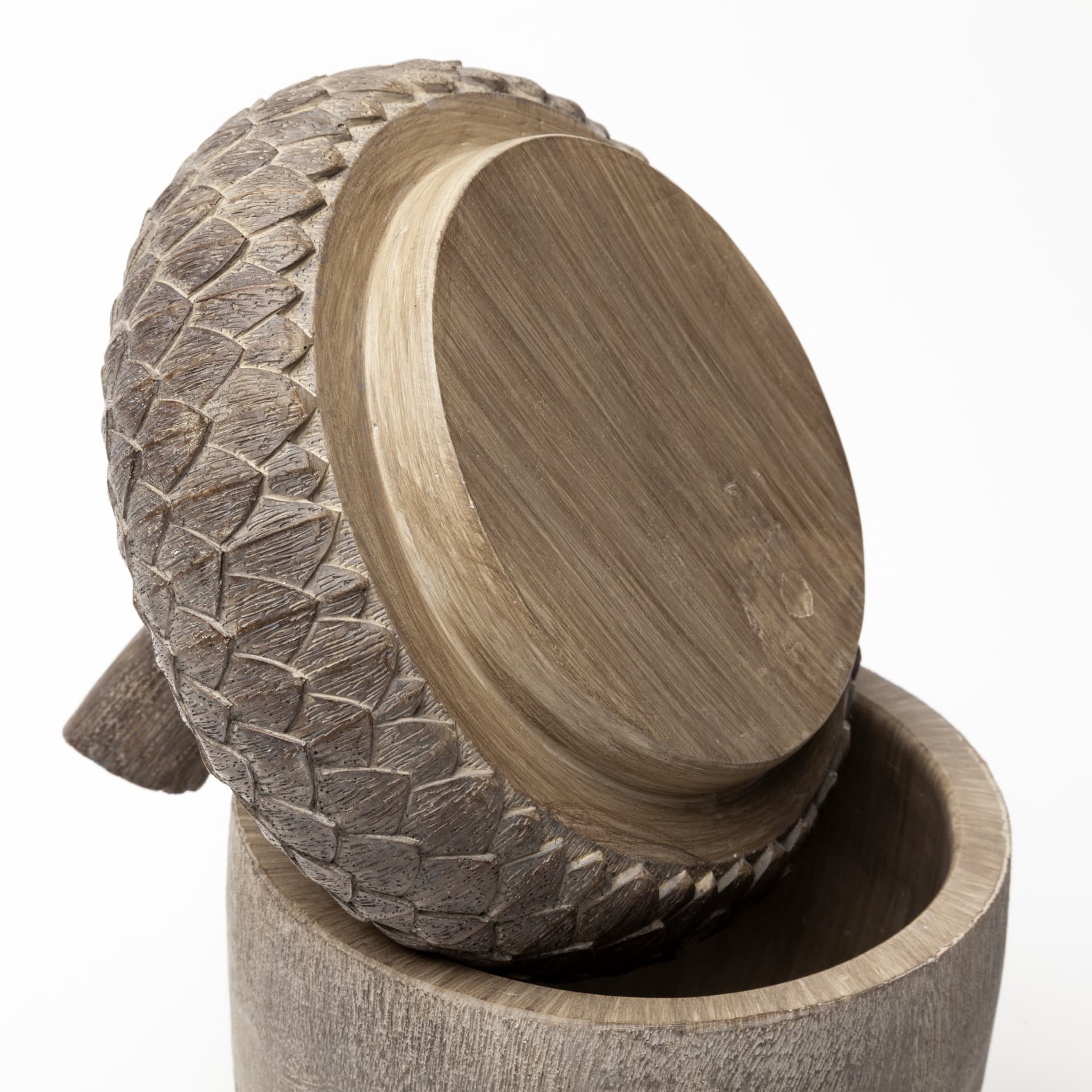 Mandor I (Small) 6L x 6W Brown Resin Acorn Box — product photograph