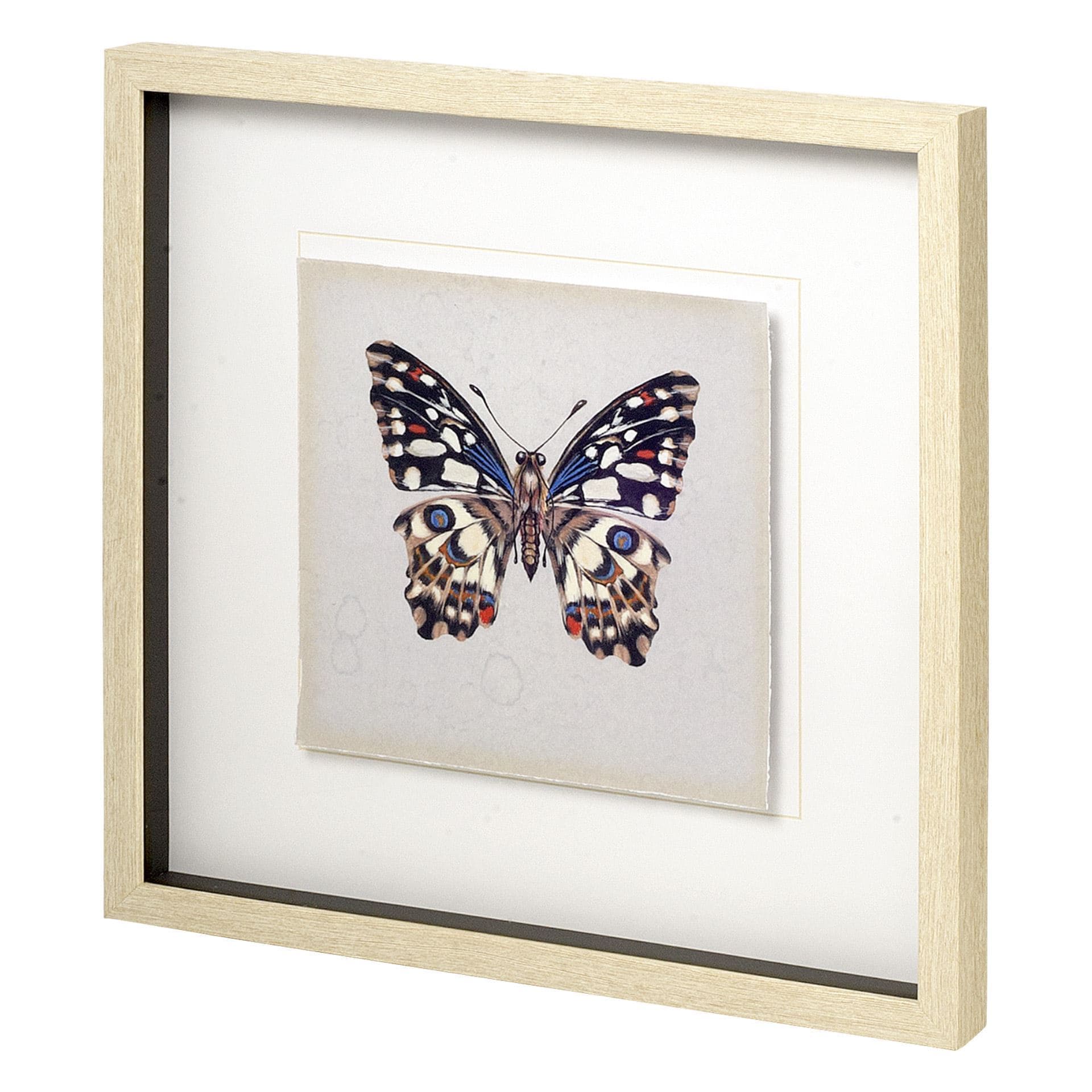 Butterfly Study II by Melissa Wang a Hand Embellished Textured Framed Art Print Matted under Glass — product photograph