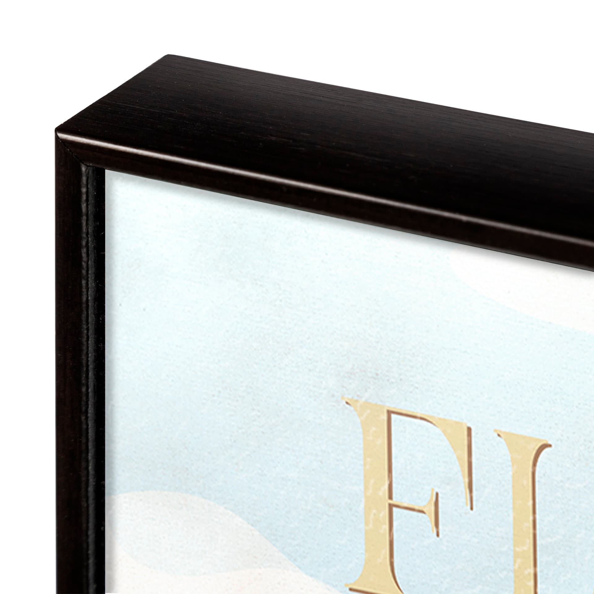 Florida Go USA (SM) by Mercana Studio a Hand Embellished Decograph Framed Art Print — product photograph