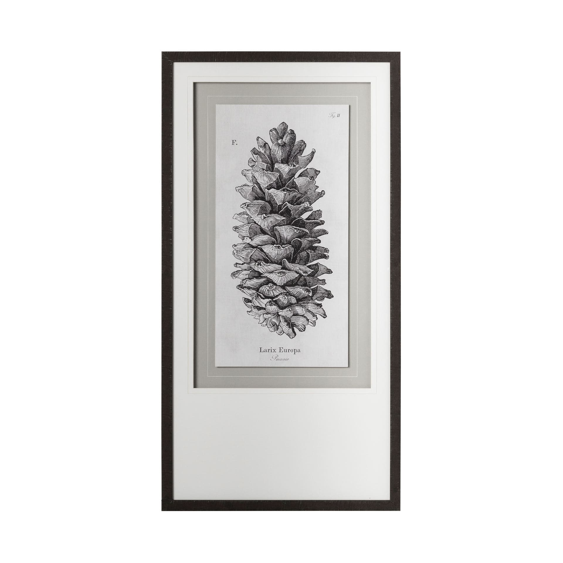Larix Europa by Maria Mendez a Framed Art Print Matted under Glass — product photograph