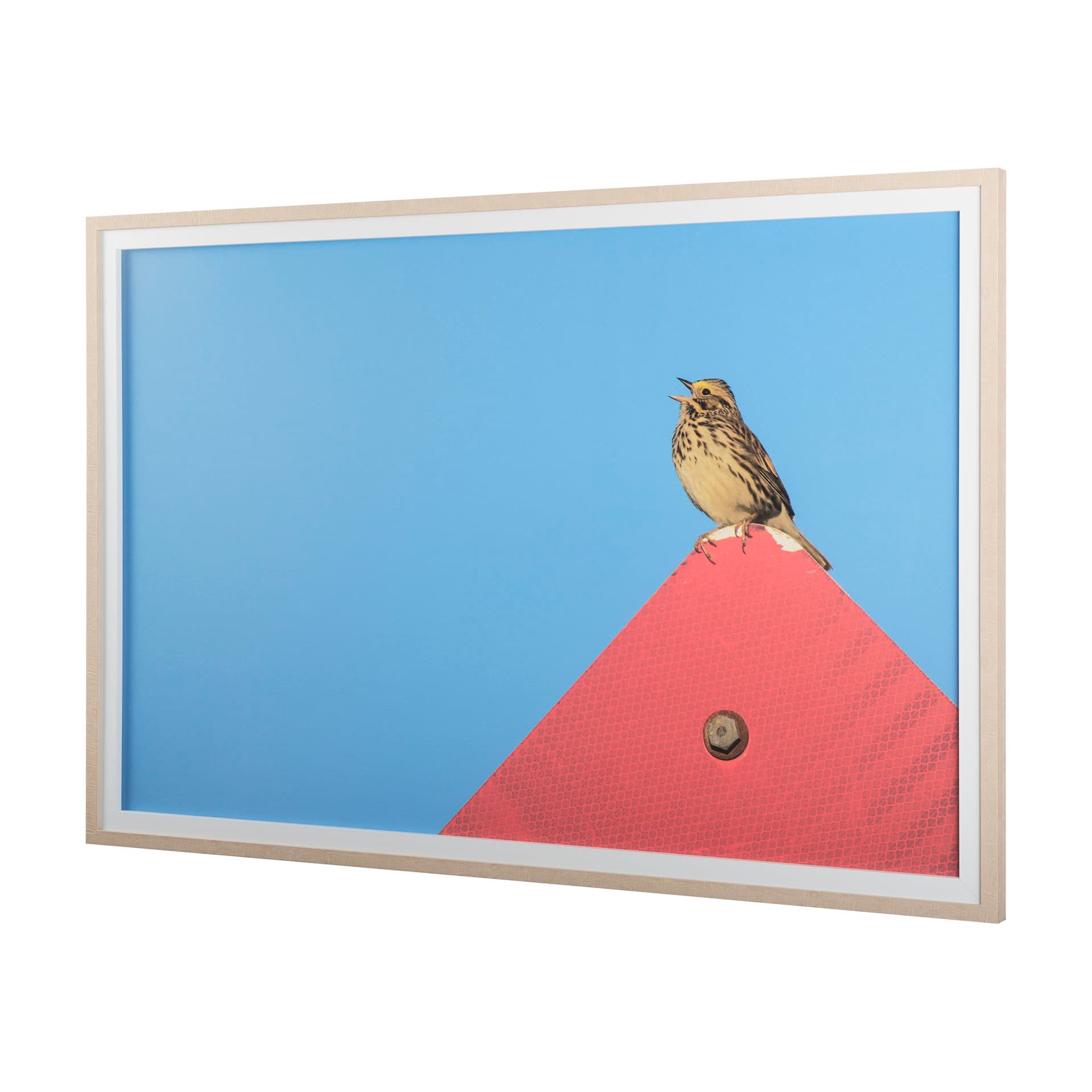 Morning Song by Mercana Studio a Hand Embellished Textured Framed Photo Art Print Matted under Glass — product photograph