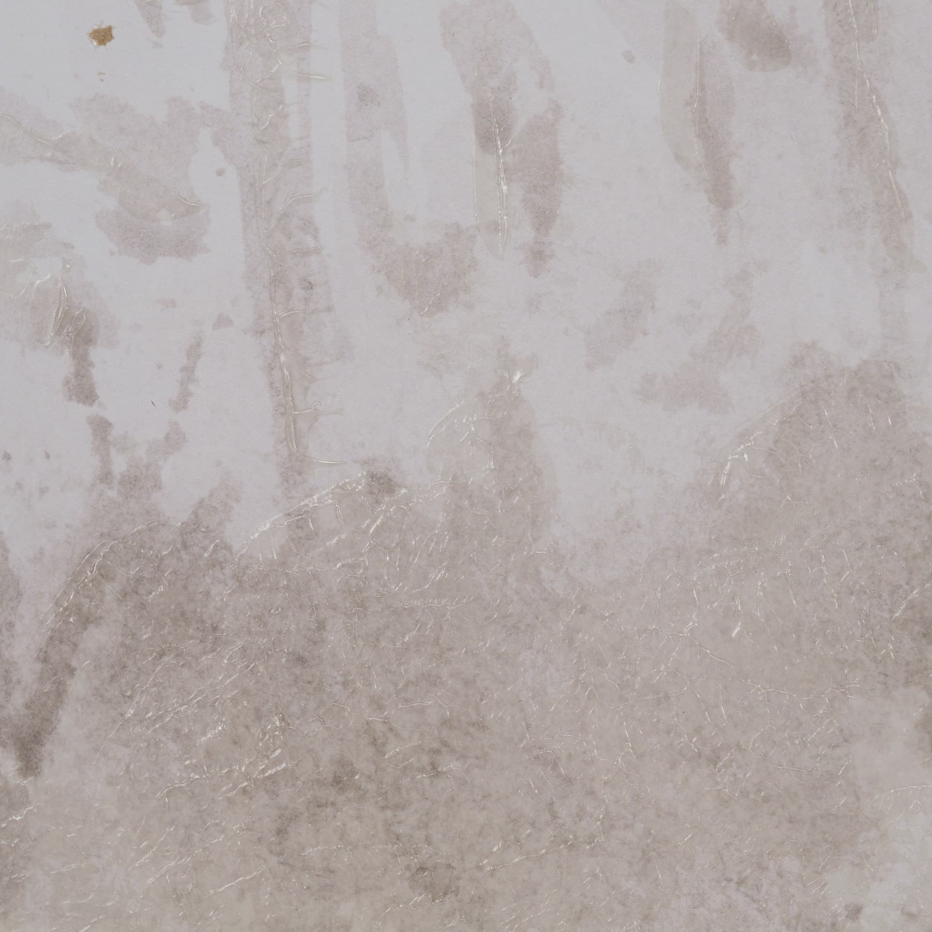 Quiet Canopy I by Mercana Studio Hand-Embellished Framed Artwork Matted under Glass — product photograph