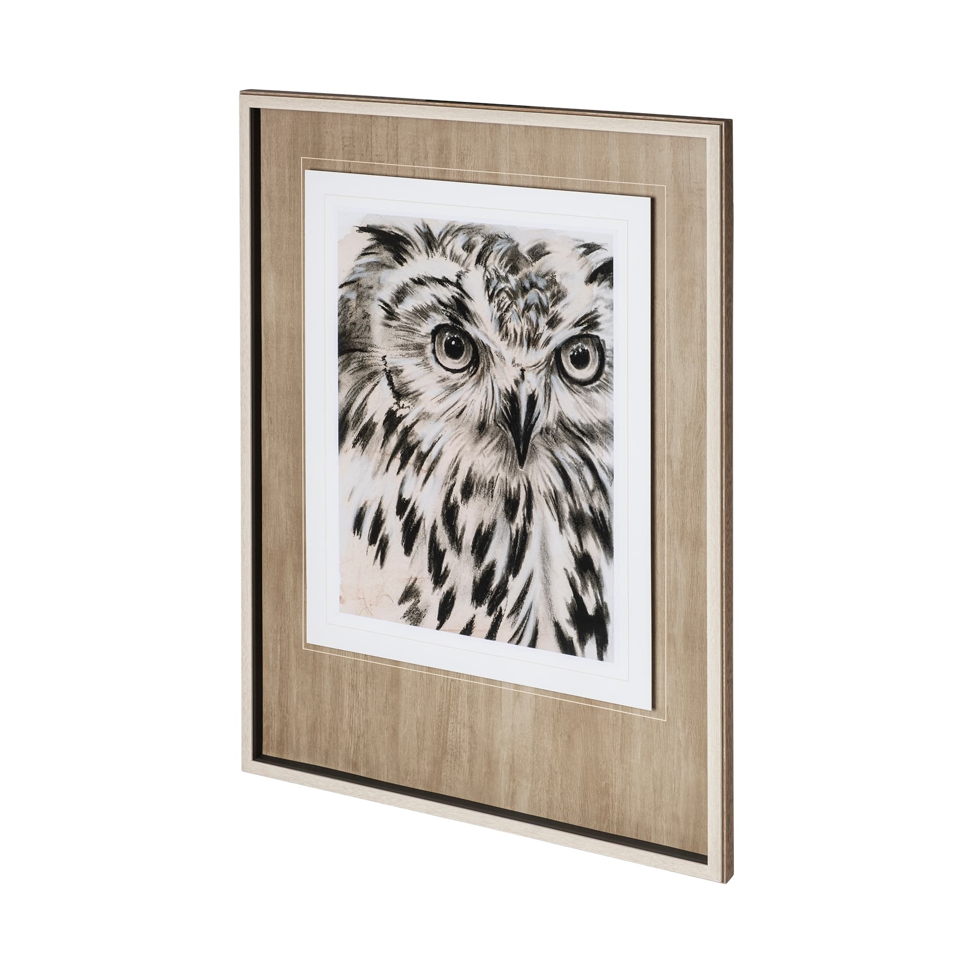 Charcoal Owl I by Jennifer Paxton Parker a Framed Art Print Matted under Glass — product photograph