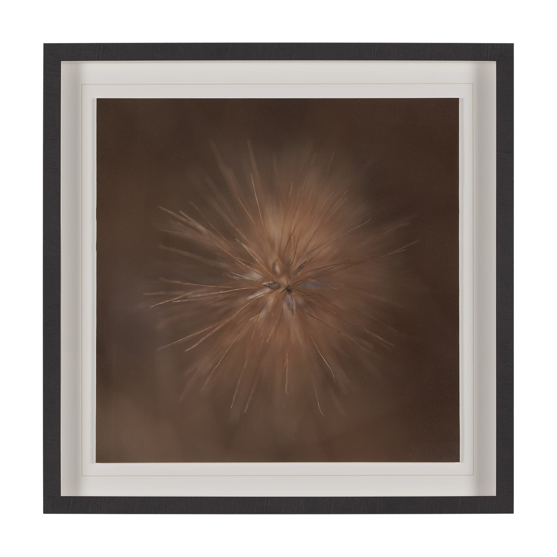 Curious by Stig Kalvelid a Hand Embellished Framed Photo Art Print Matted under Glass — product photograph