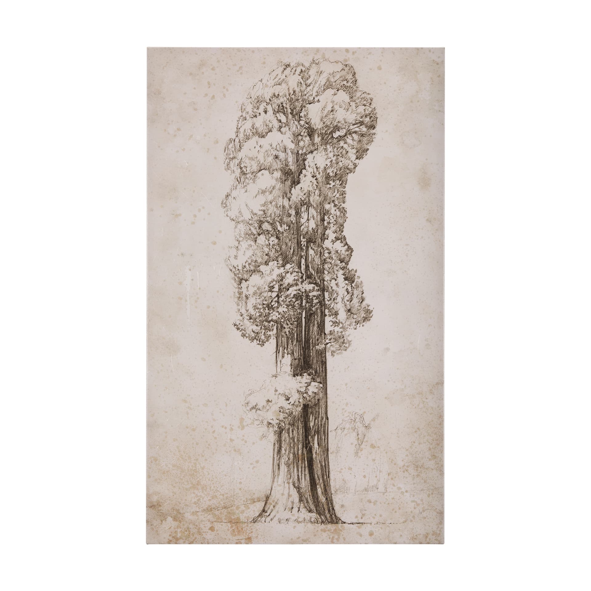 Westcoast Tree Drawing I by Mercana Studio a Hand Embellished Textured Canvas — product photograph
