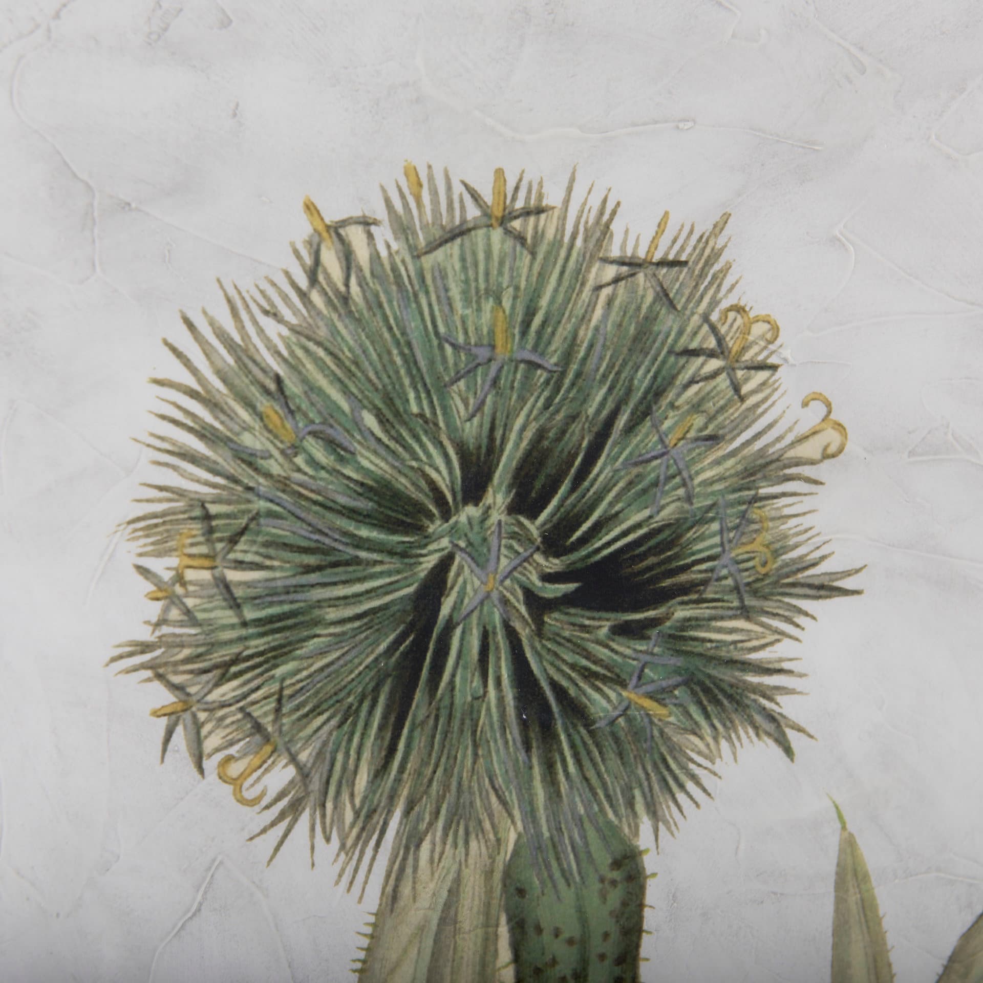 Soft Blue Botanoicals VI by Mercana Studio Hand Embellished Framed Art Print Matted under Glass — product photograph