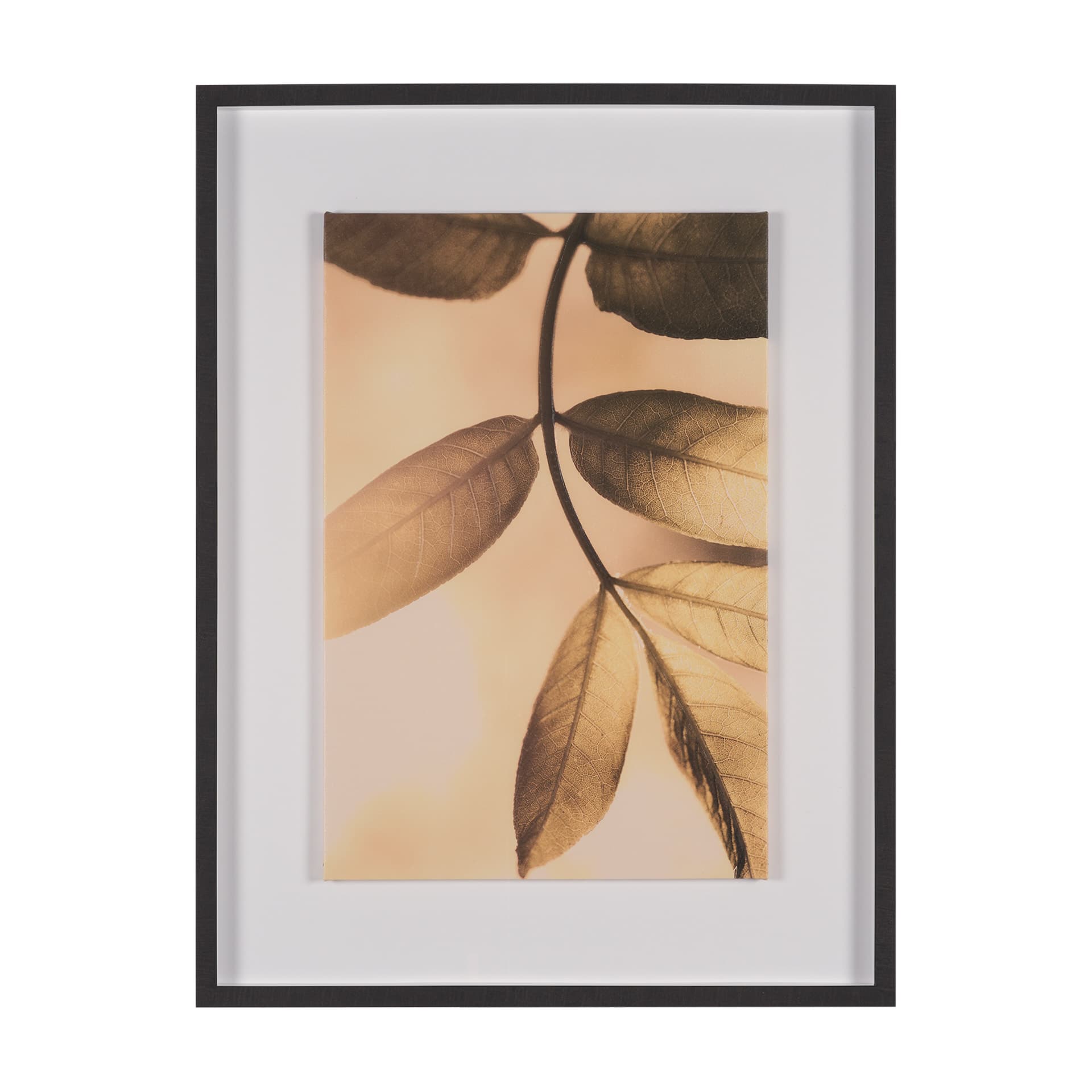 Leaf Imaging by Michael Banks a Hand Embellished Framed Photo Art Print Matted under Glass — product photograph