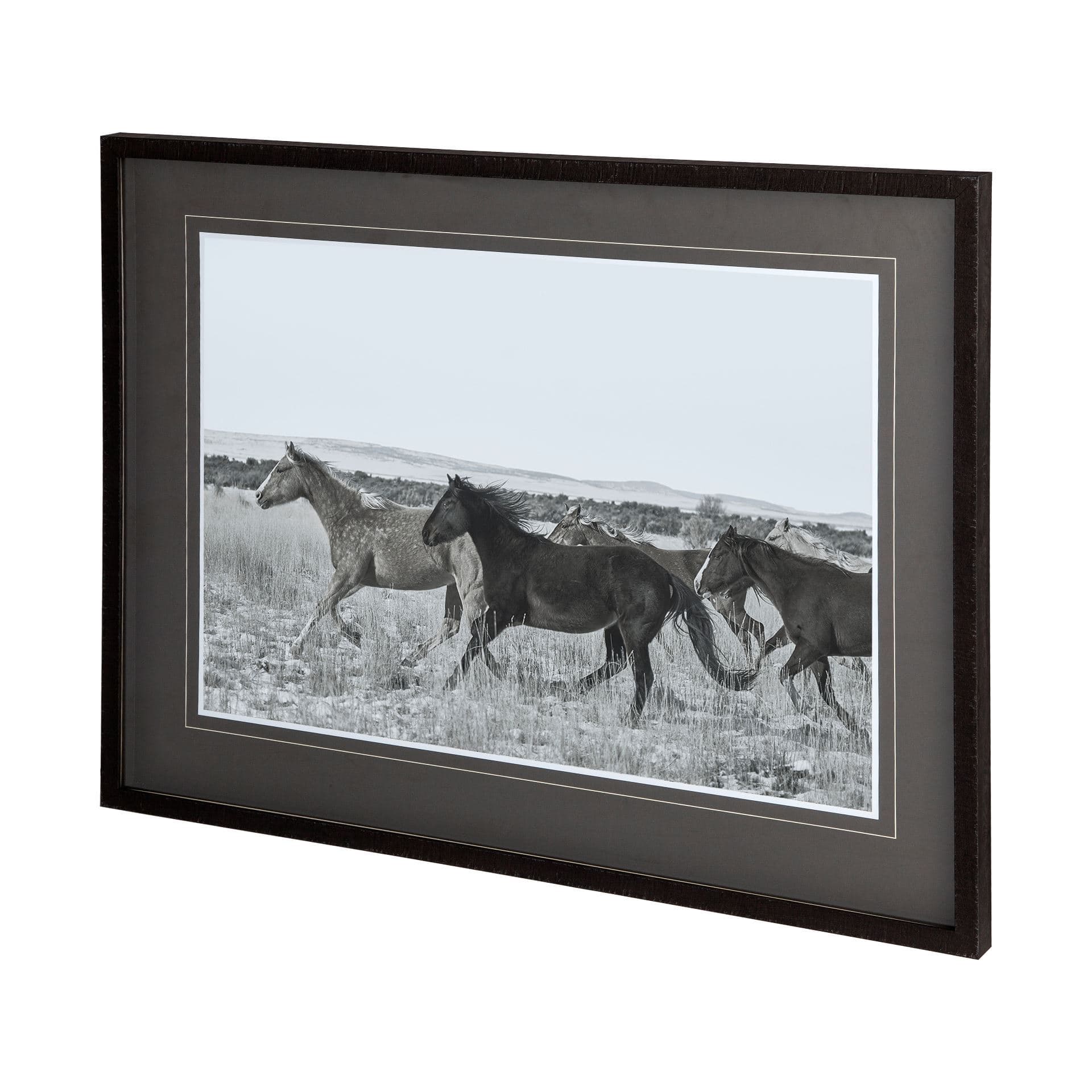 Horse Fort Ranch 14 by Dunker a Framed Photo Art Print Matted under Glass — product photograph
