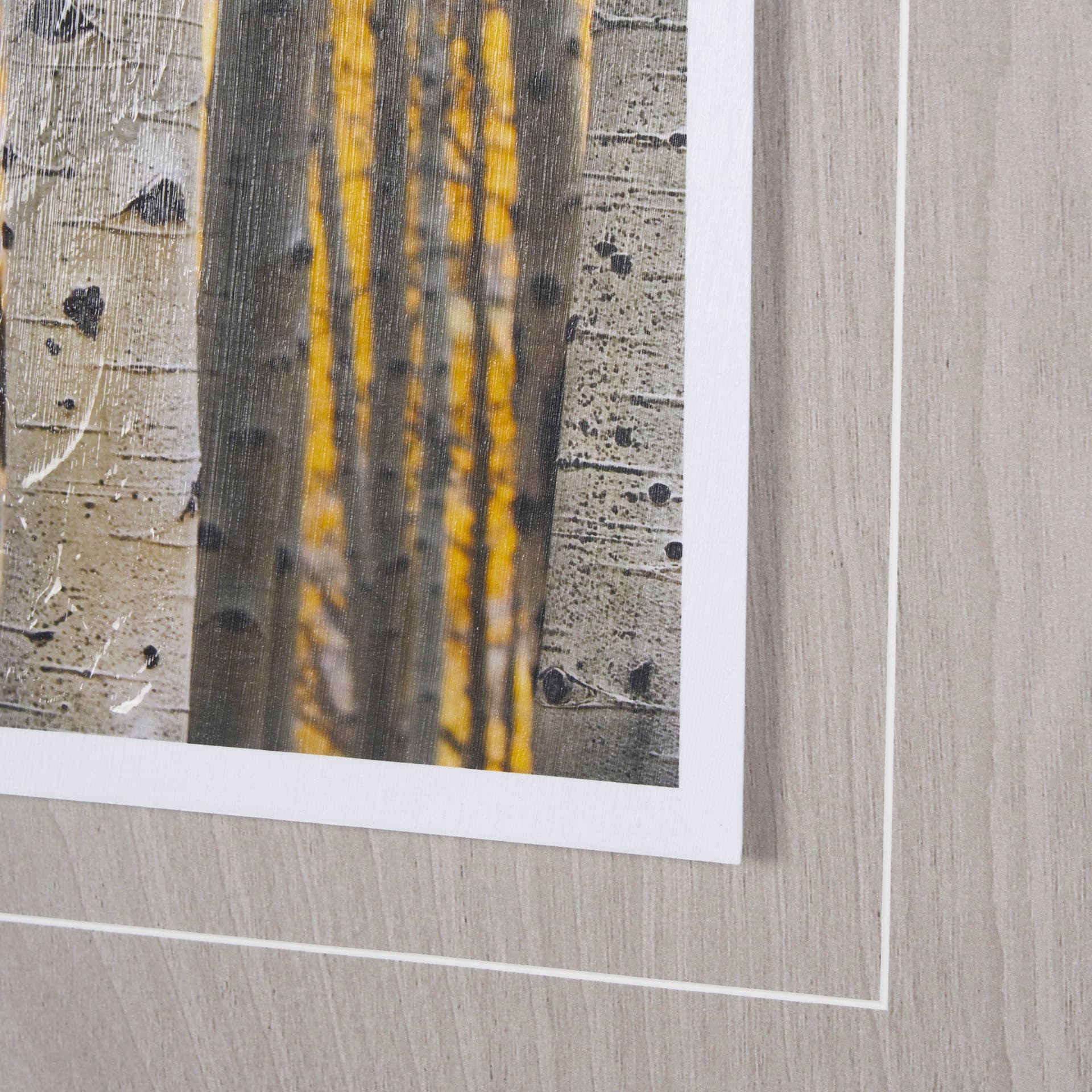 Aspen Trees 3 by Jamie Cook a Hand Embelished Textured Framed Photo Art Print Matted under Glass — product photograph
