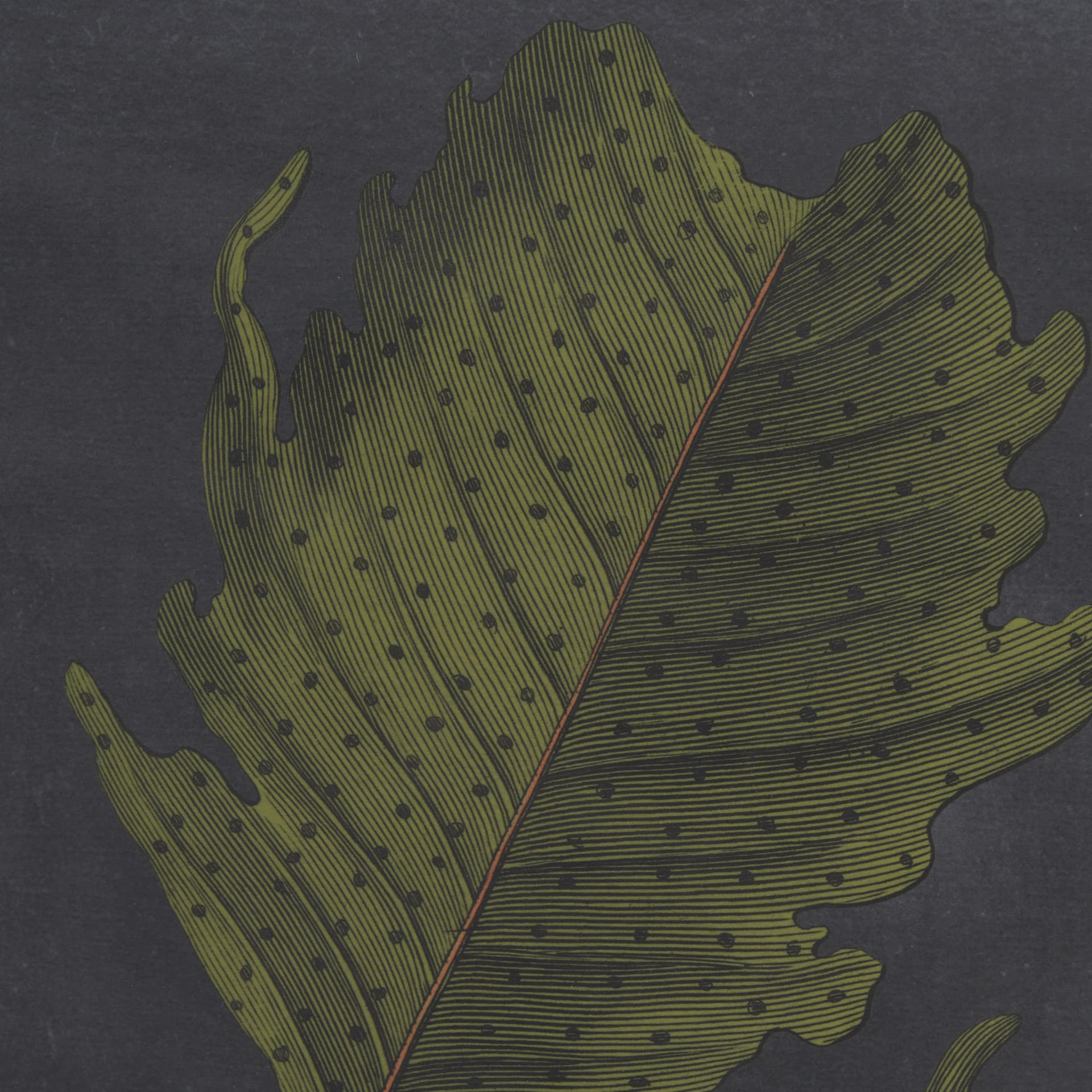Foliage Dramatique II by Vision Studio Hand Embellished Textured Framed Art Print Matted under Glass — product photograph