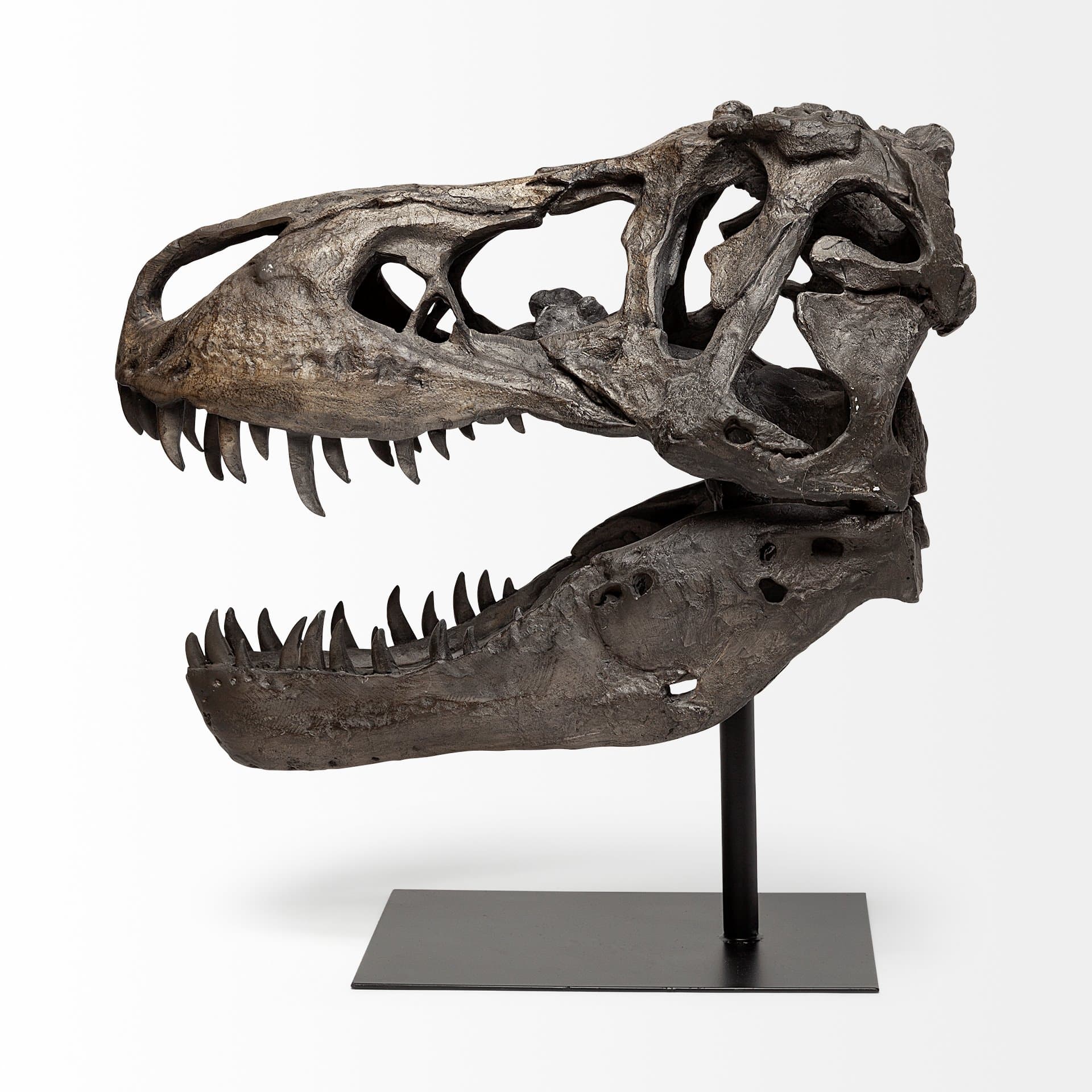Lagrane 19L x 11W Brown Resin Tyrannosaurus T Rex Dinosaur Skull Replica — product photograph
