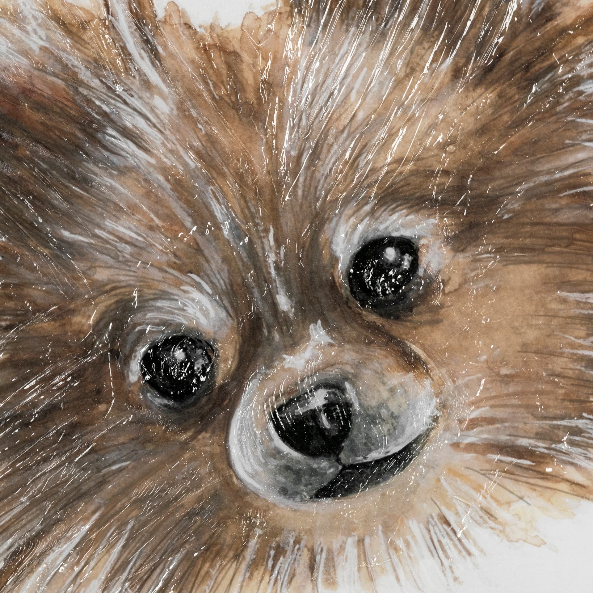 Frankie (Pomeranian 1) by Mercana Studio Hand Embellished Framed Art Print Matted under Glass — product photograph