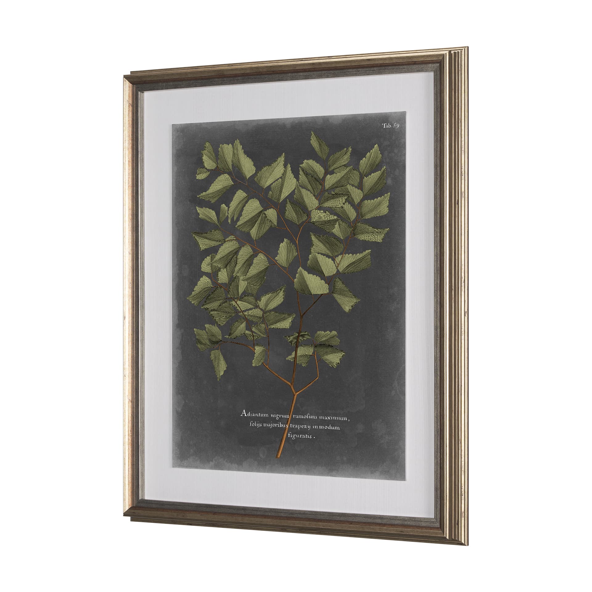 Foliage Dramatique V by Vision Studio Hand Embellished Textured Framed Art Print Matted under Glass — product photograph